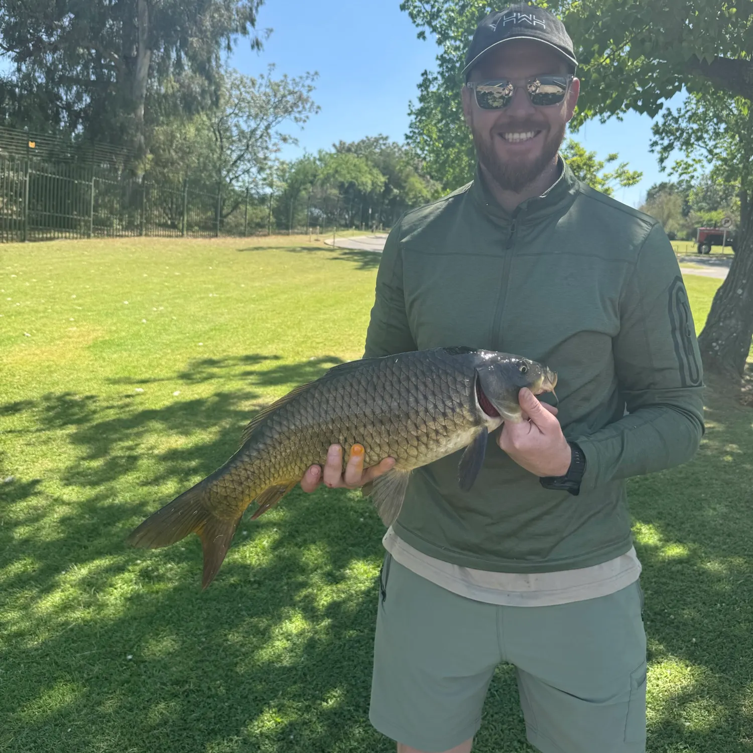 Common carp caught on Fishbrain