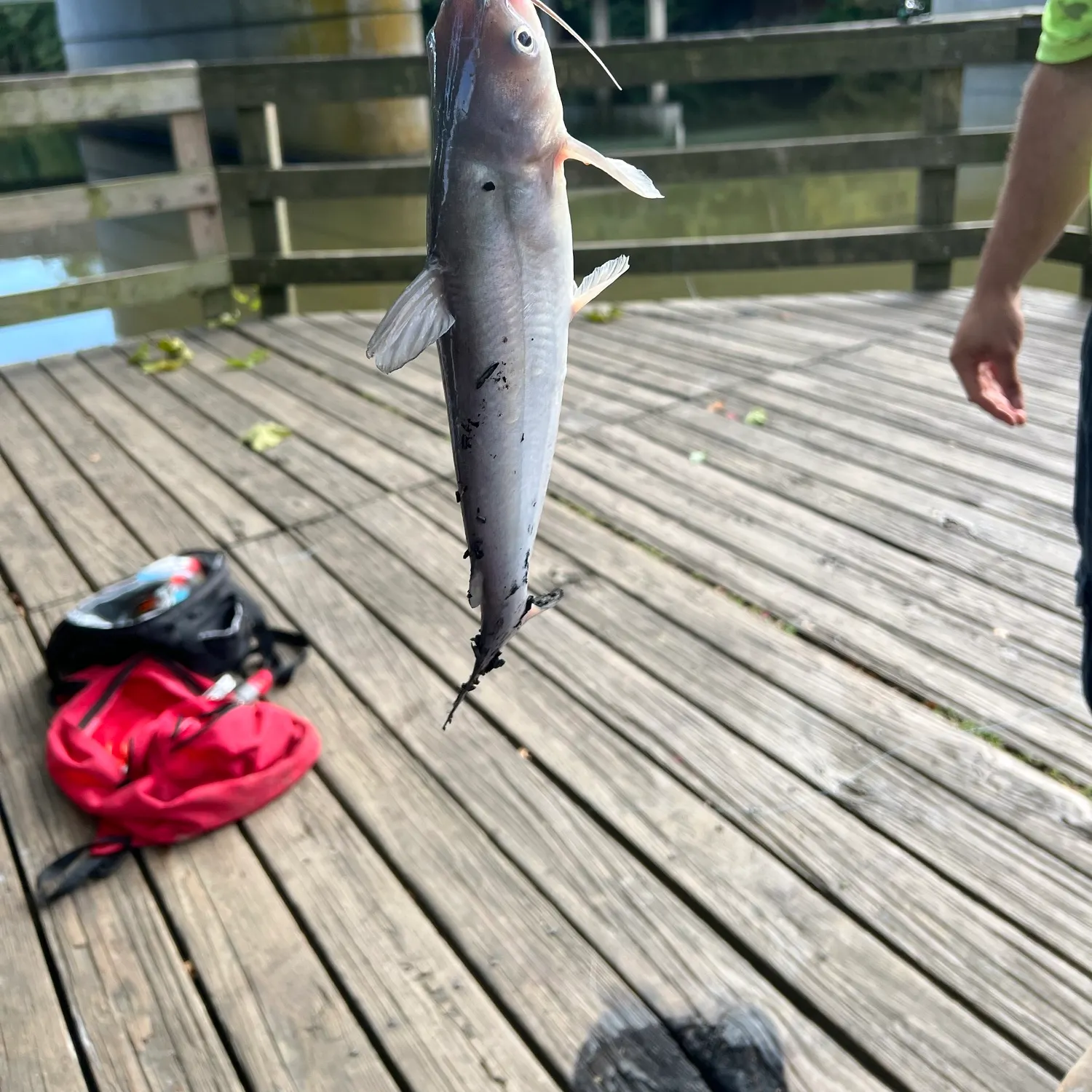 catch