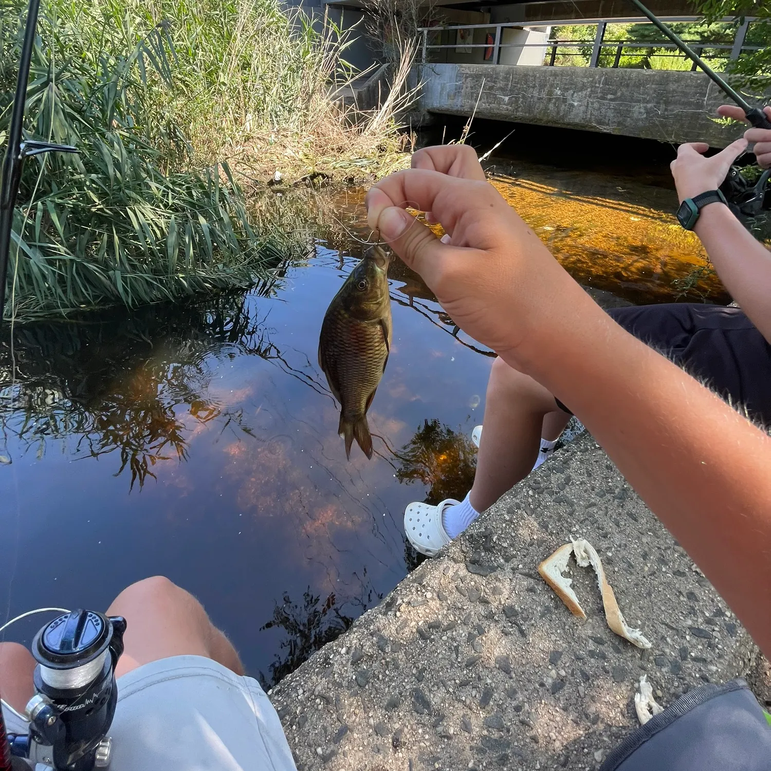 catch