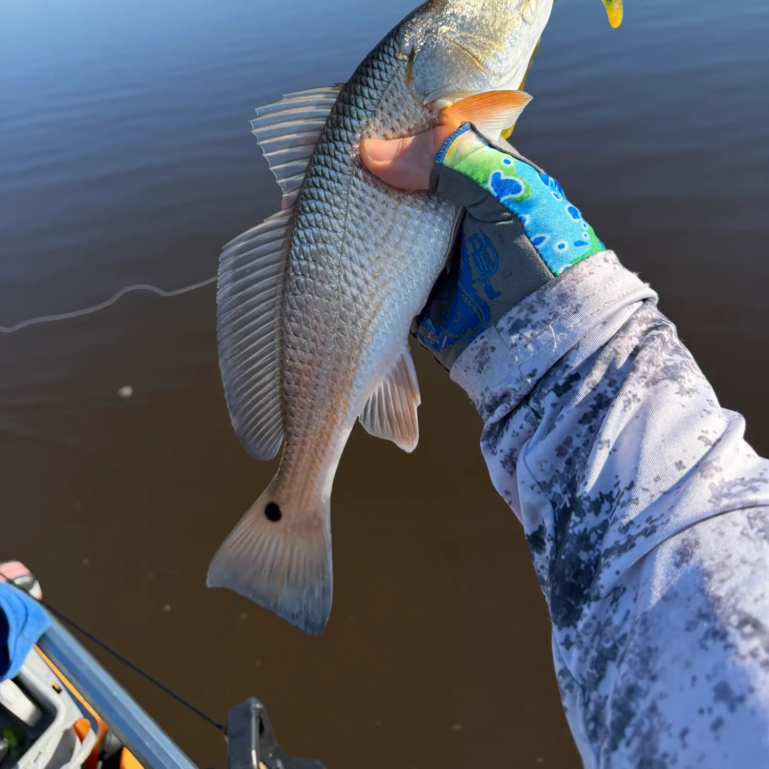 Red drum caught on Fishbrain