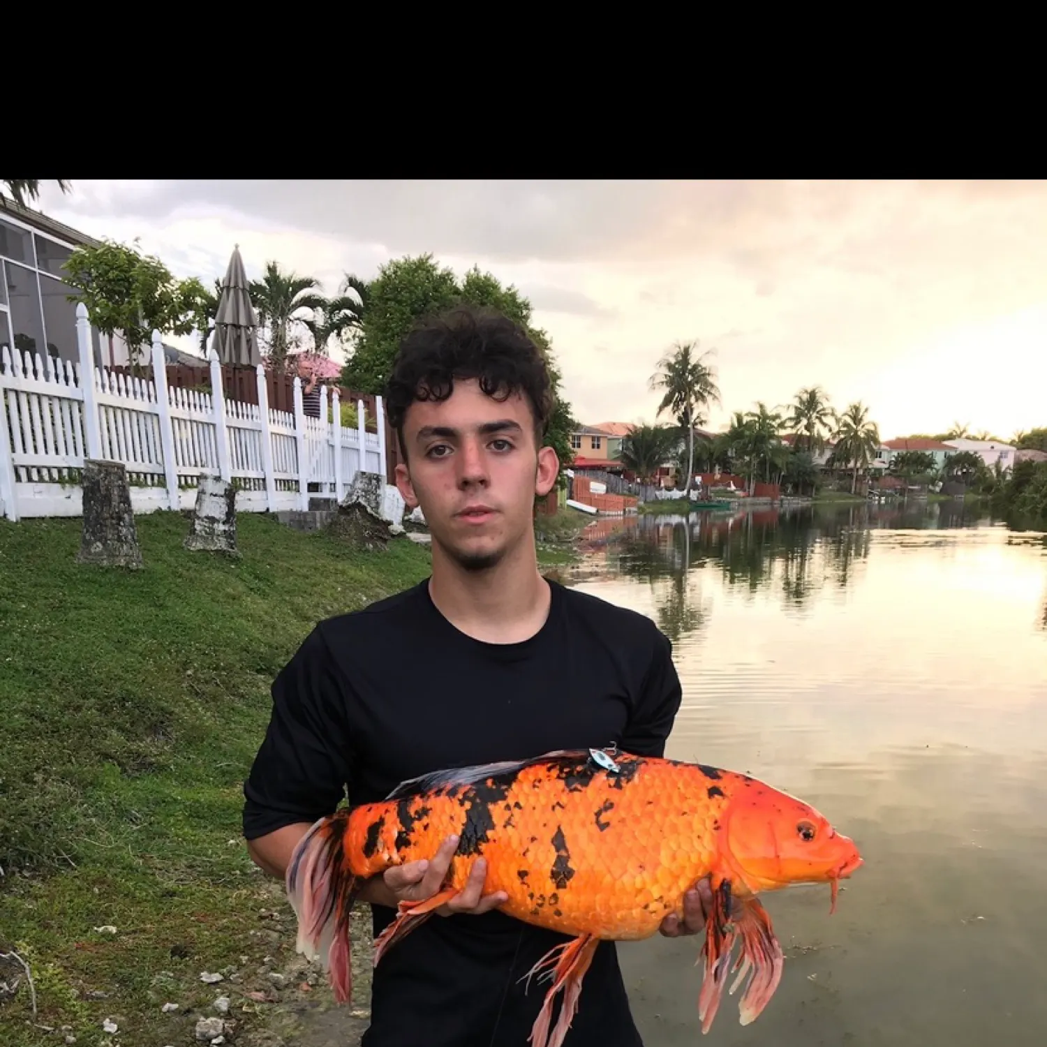 most liked catch image