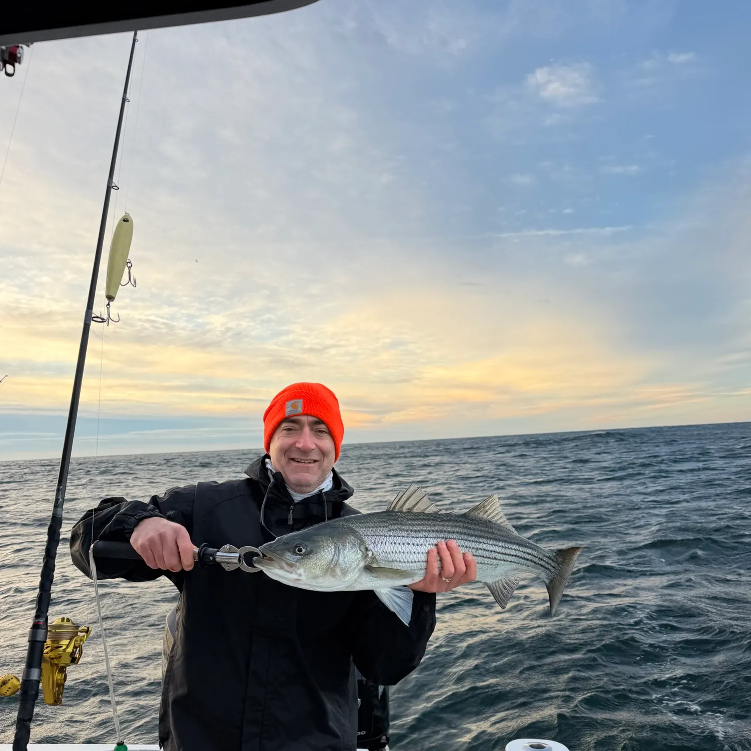 Striped bass caught on Fishbrain