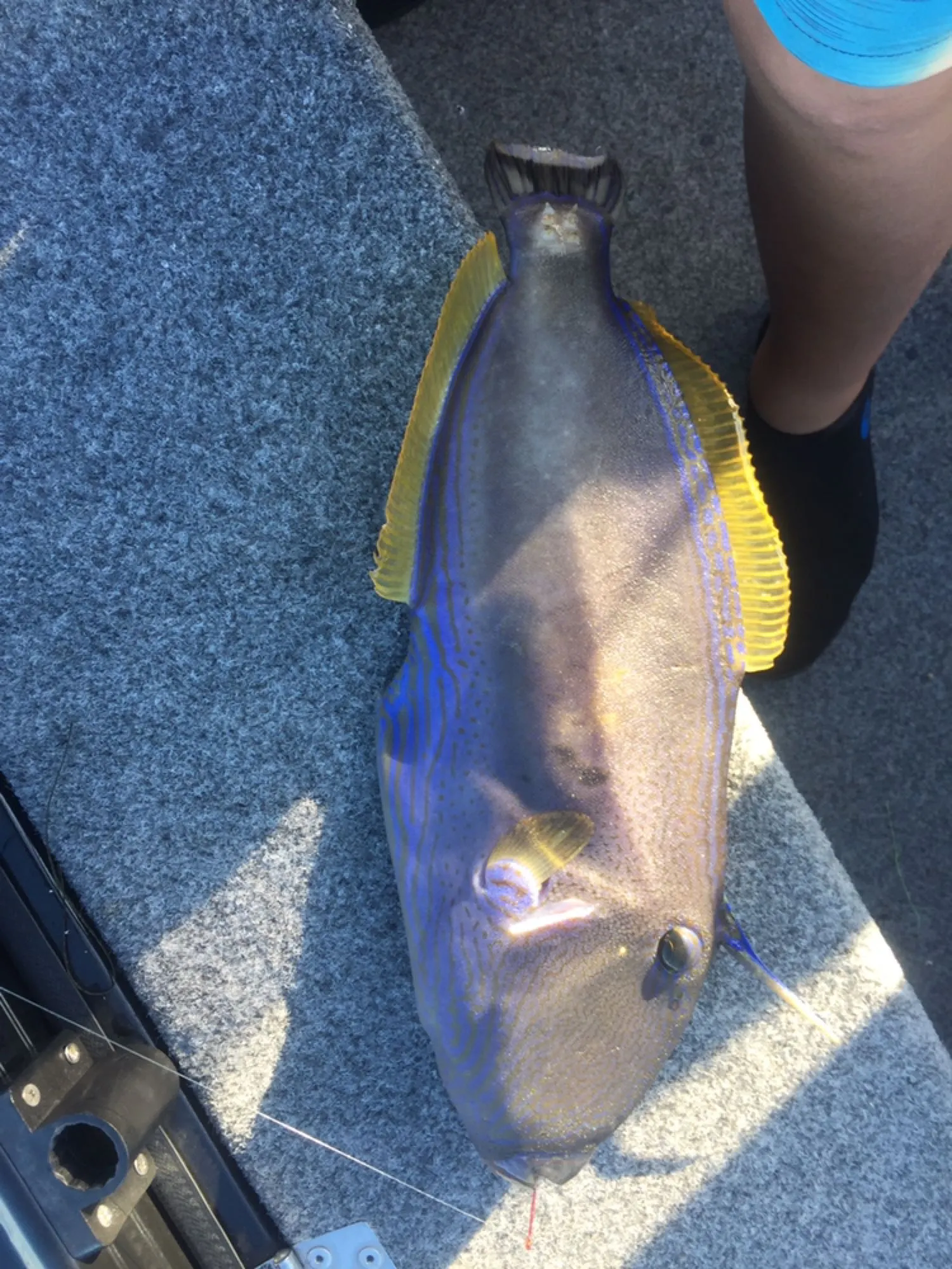 Post image from mathewlord