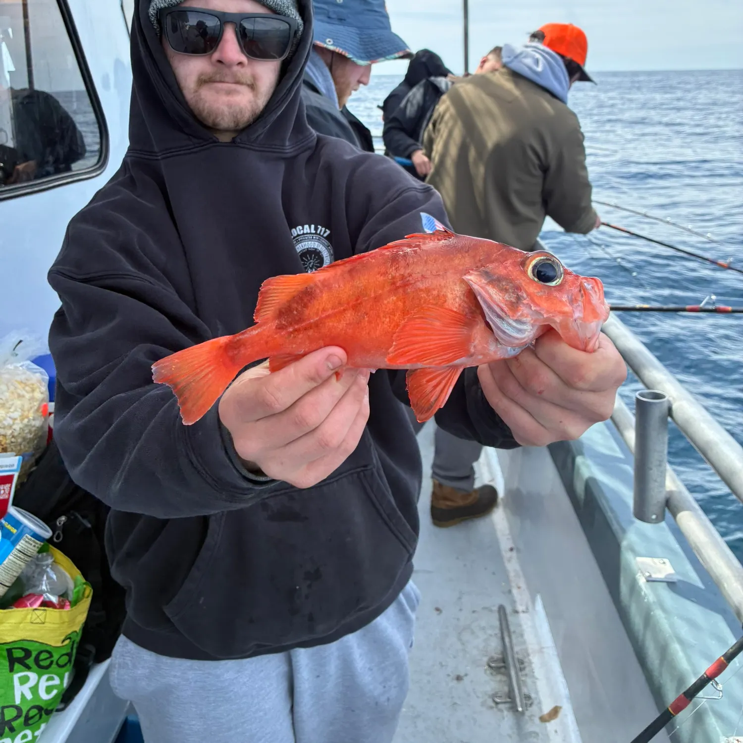 The most recent Acadian Redfish catches on Fishbrain