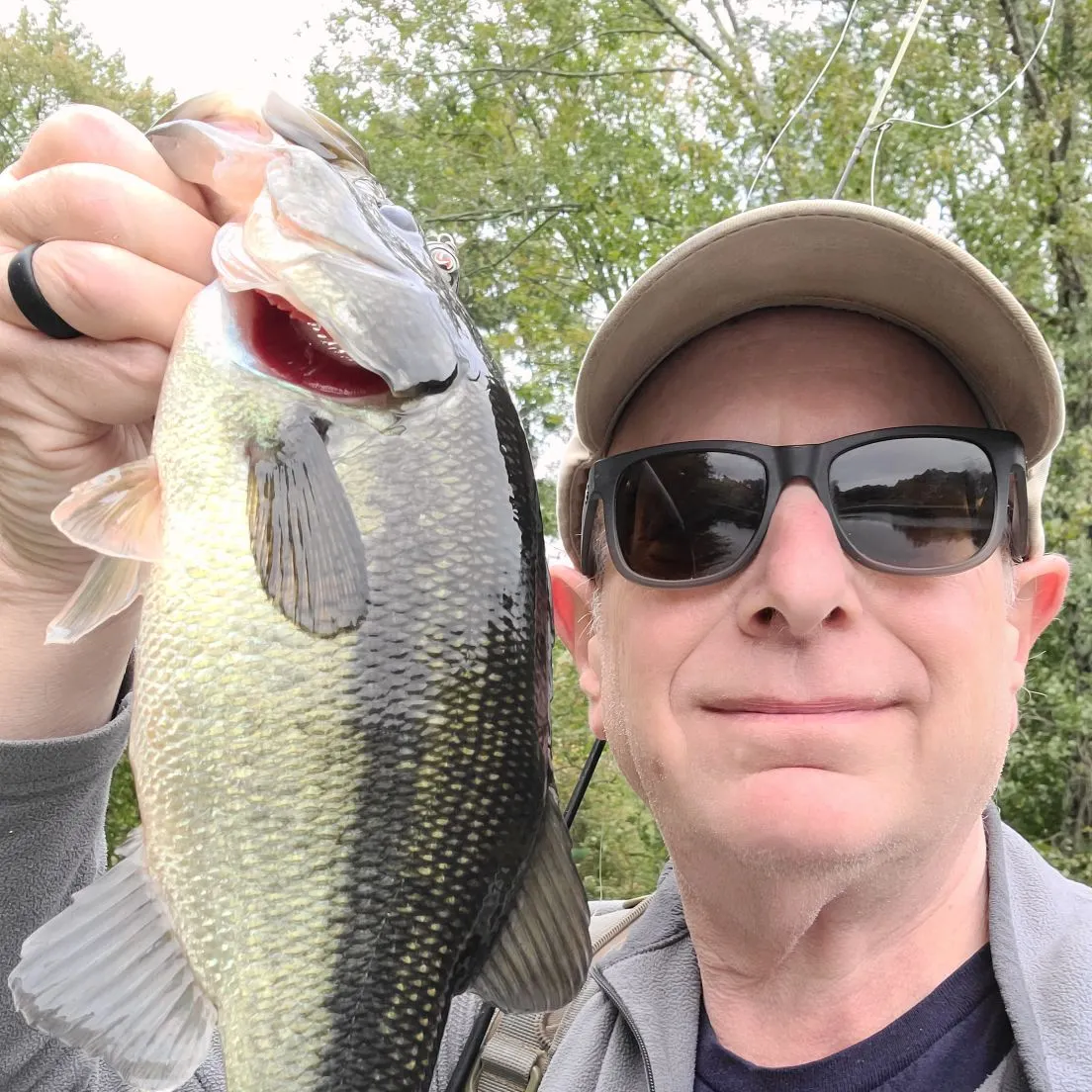 Largemouth bass caught on Fishbrain