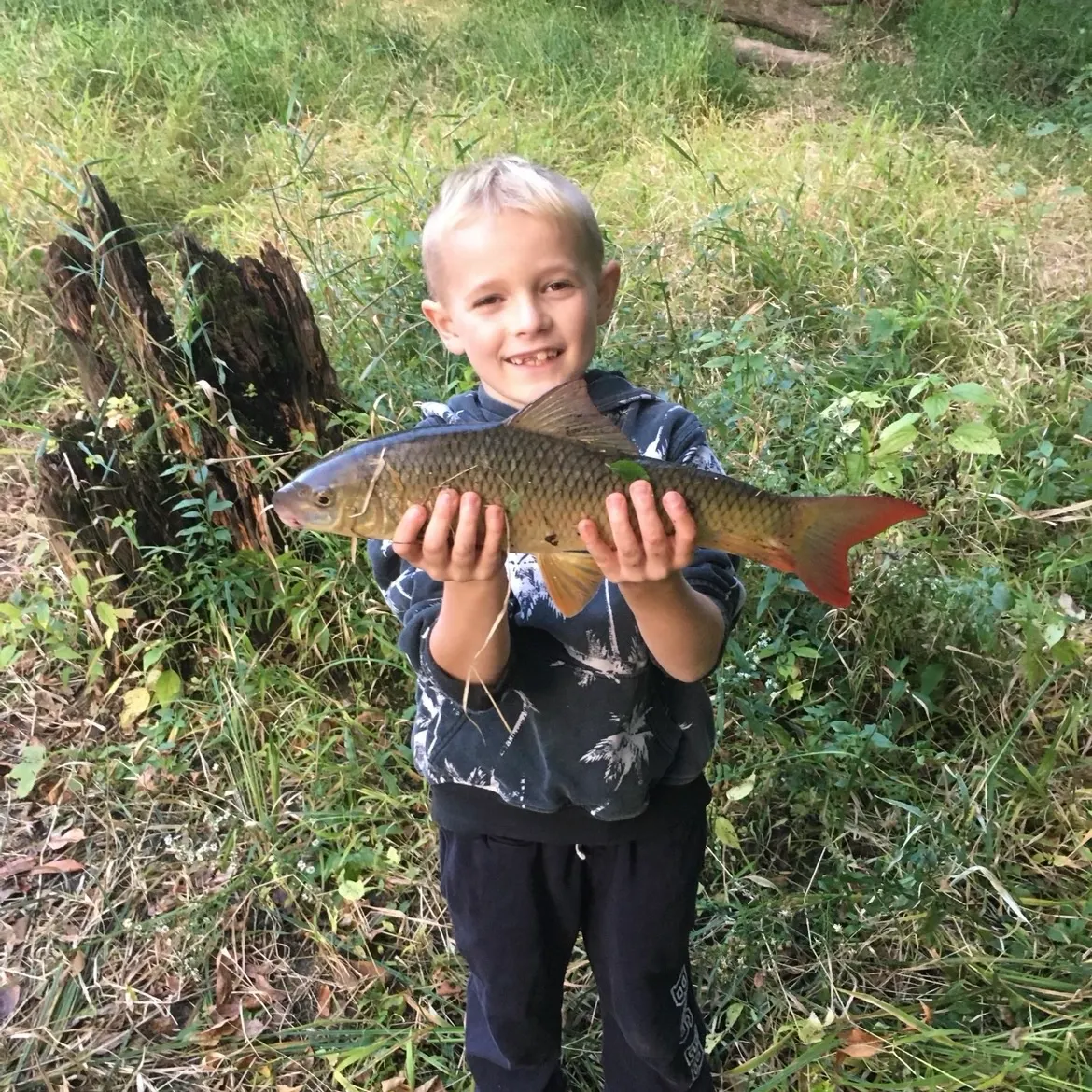The most recent Smallmouth redhorse catches on Fishbrain