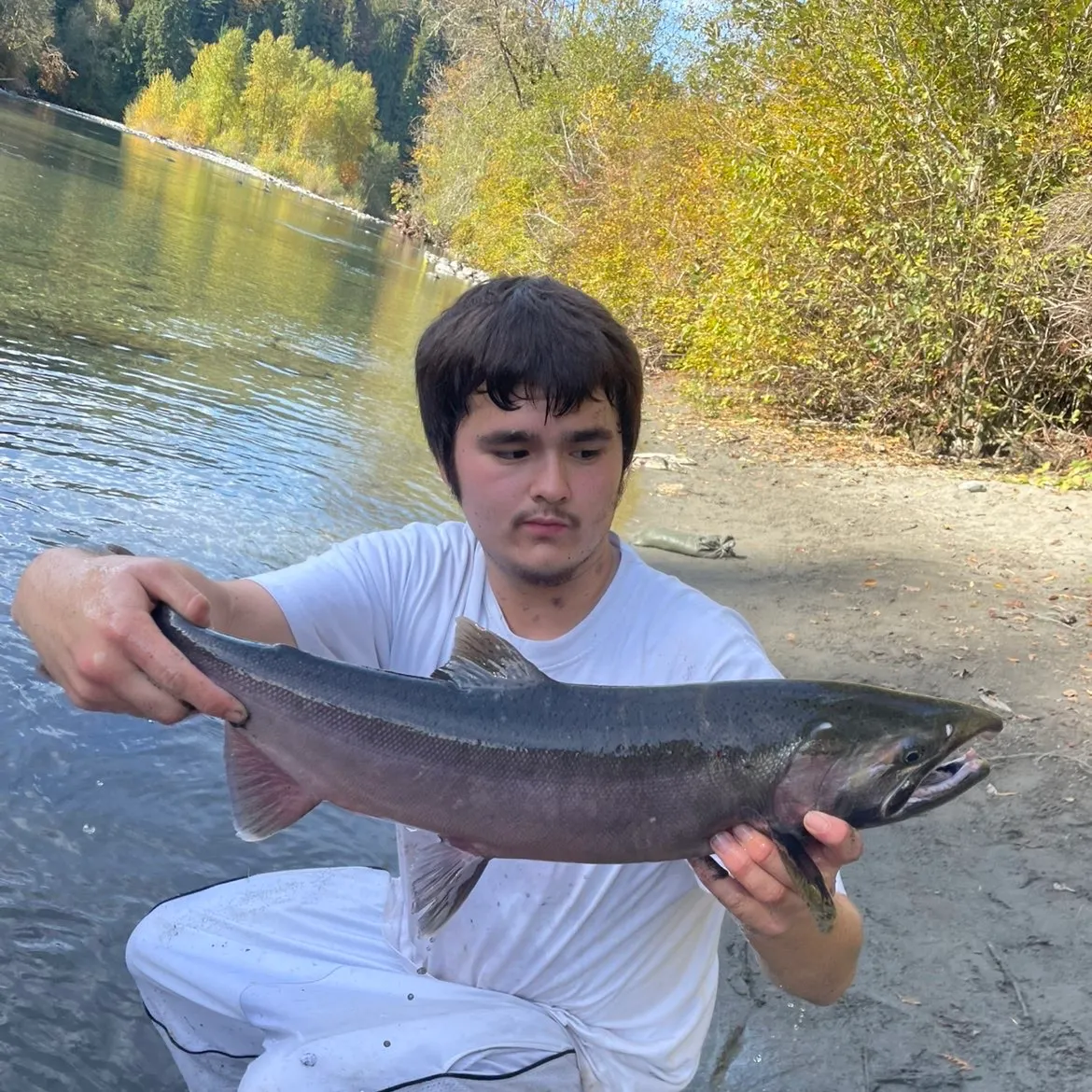 Coho salmon caught on Fishbrain