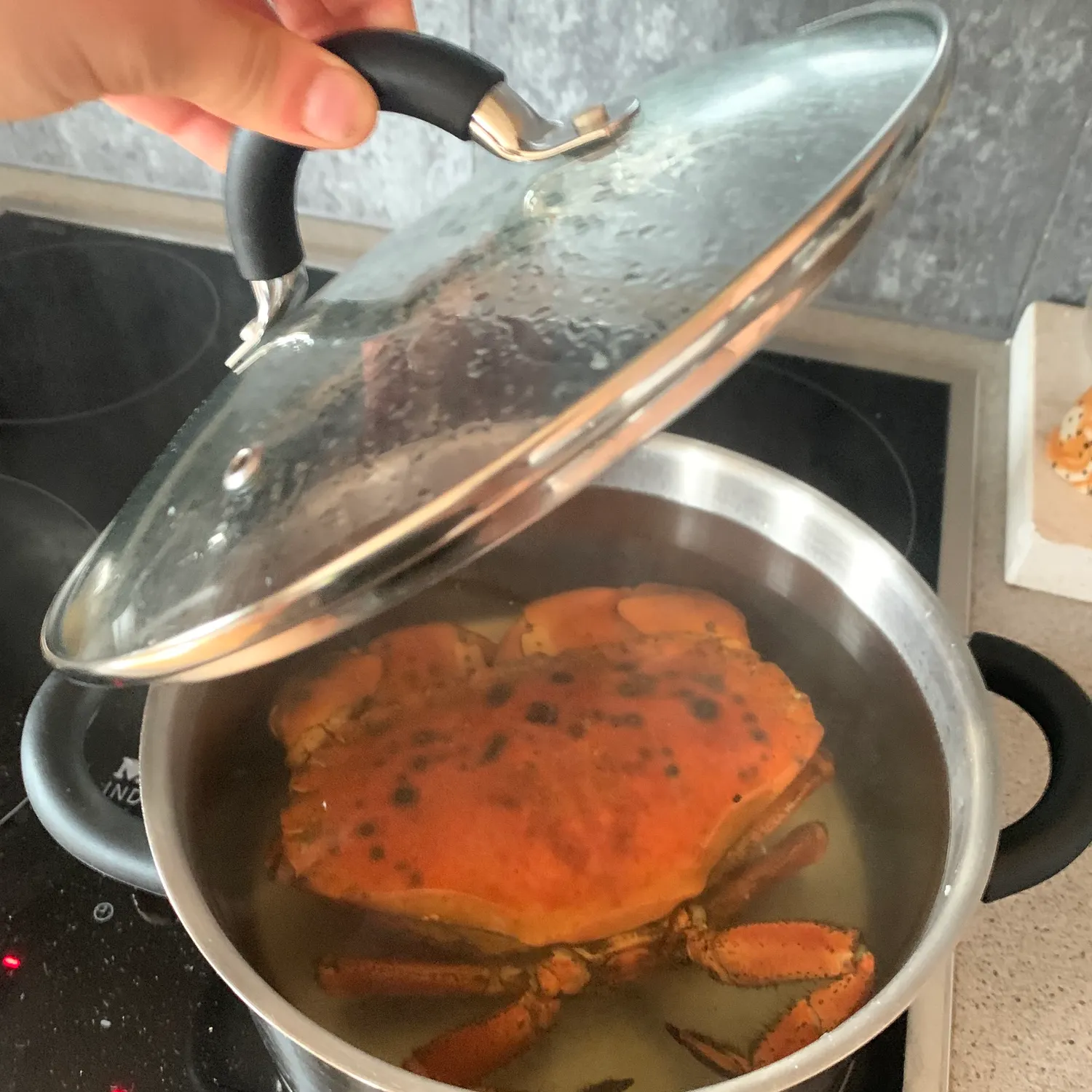 The most recent Jonah crab catches on Fishbrain