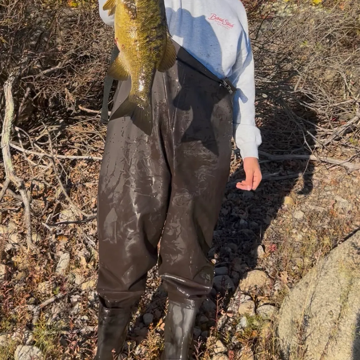 Smallmouth bass caught on Fishbrain