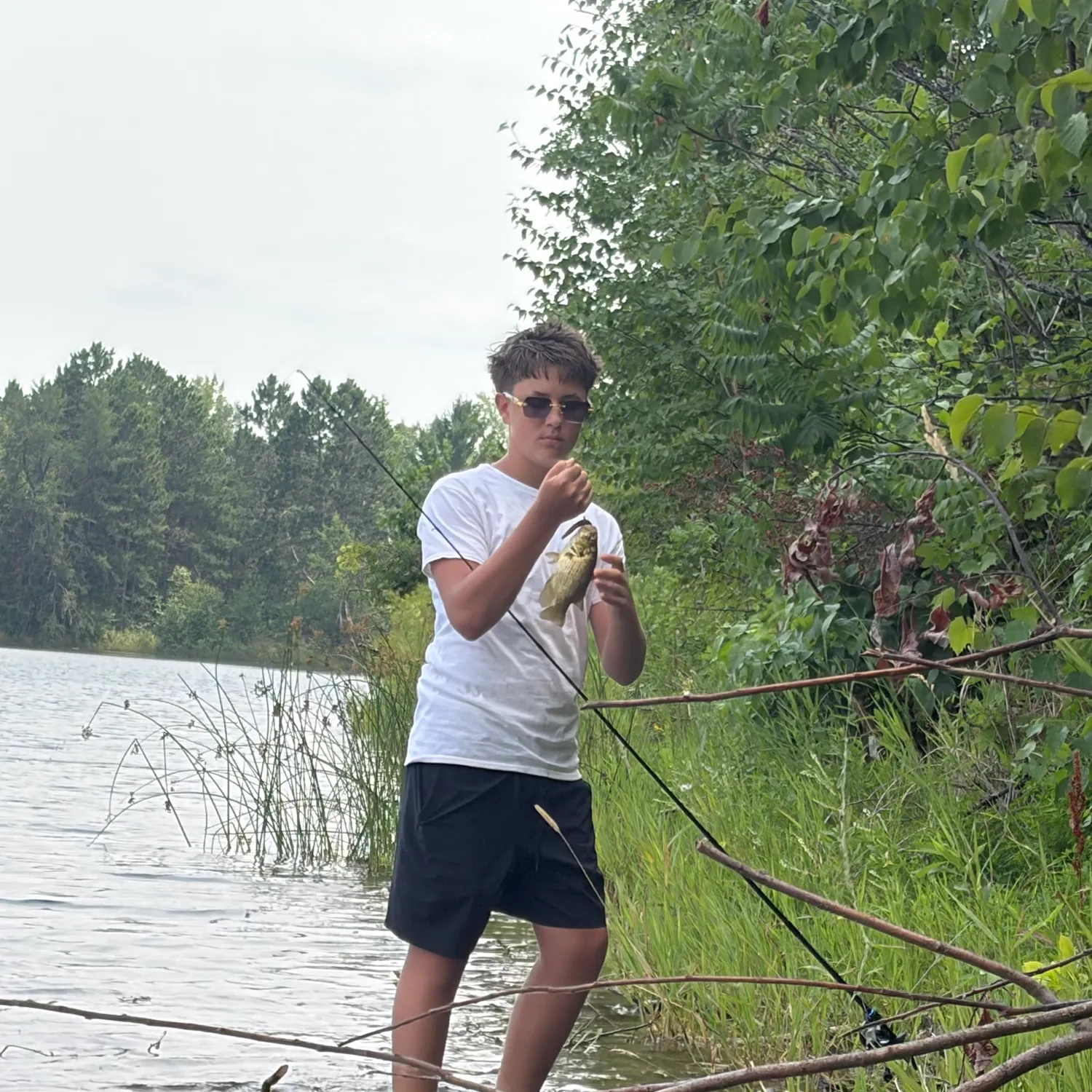 Rock bass caught on Fishbrain