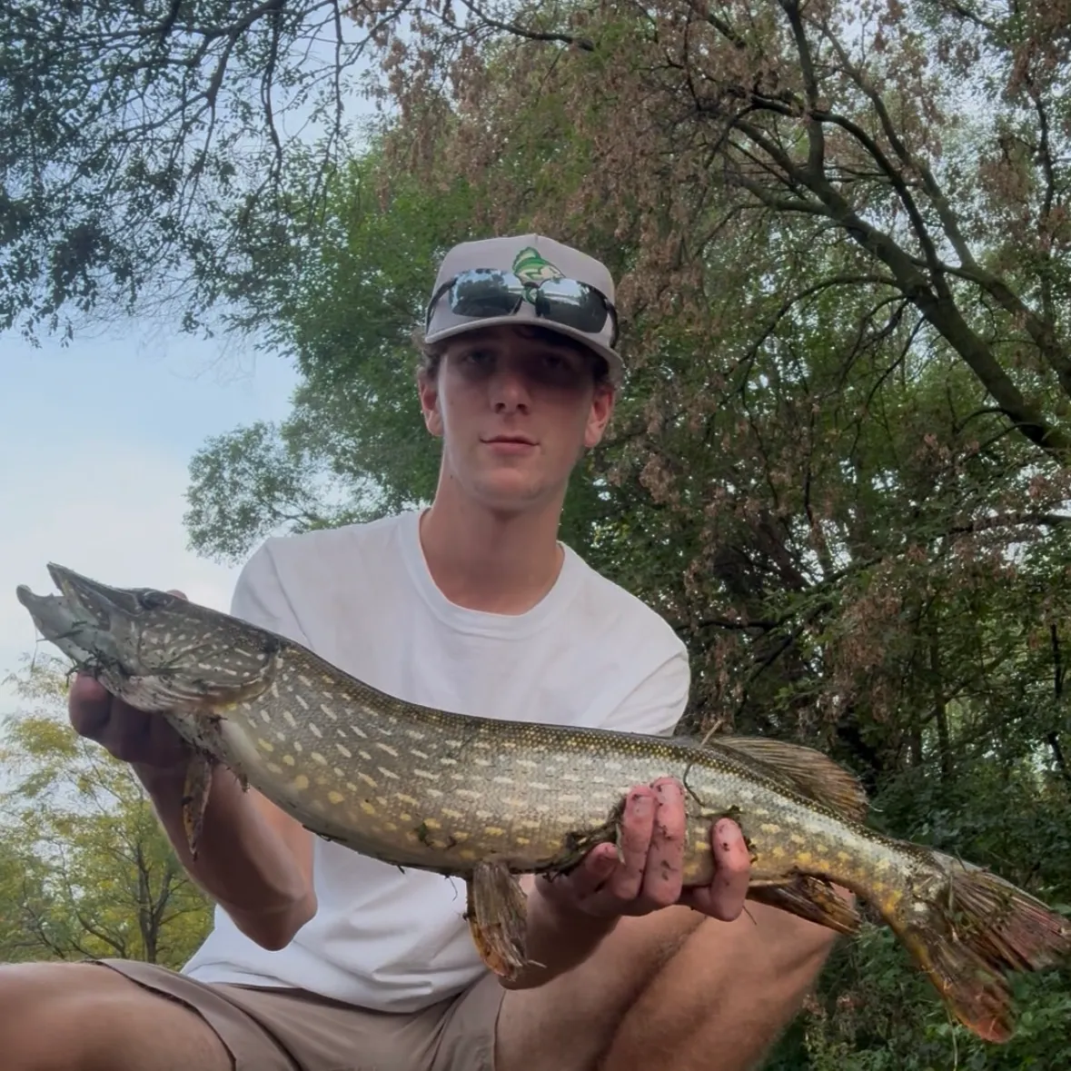 Northern pike caught on Fishbrain
