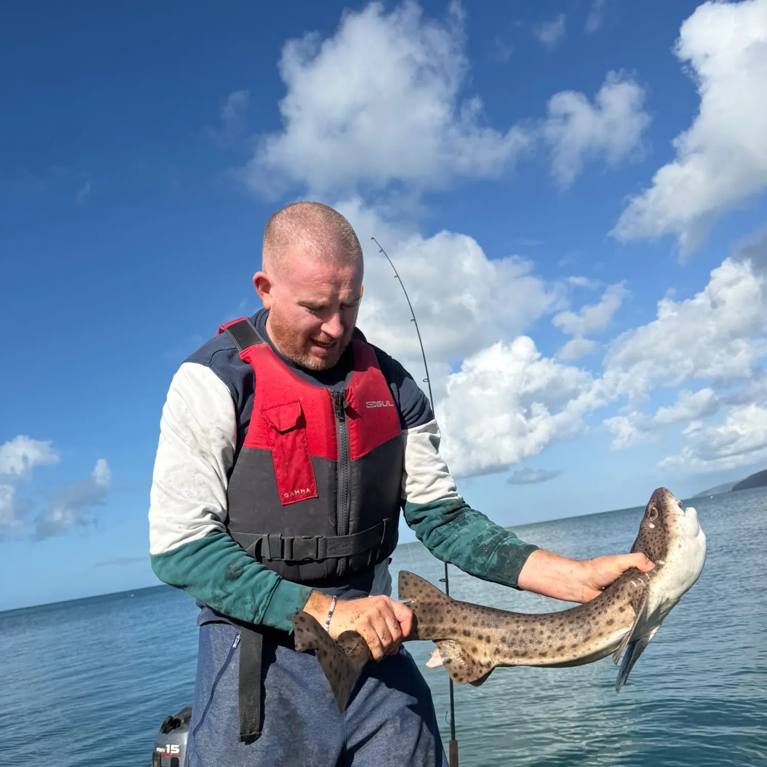 Nursehound caught on Fishbrain