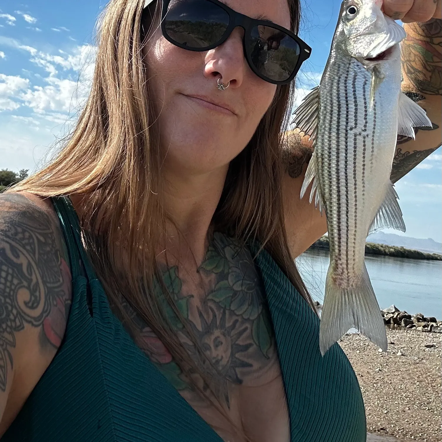 Striped bass caught on Fishbrain