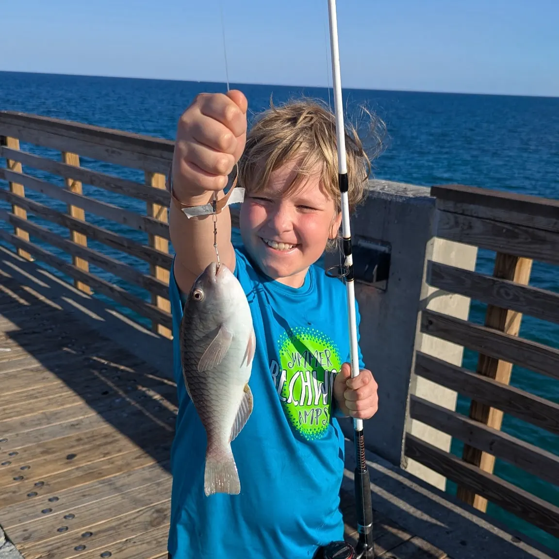 The most recent Common parrotfish catches on Fishbrain