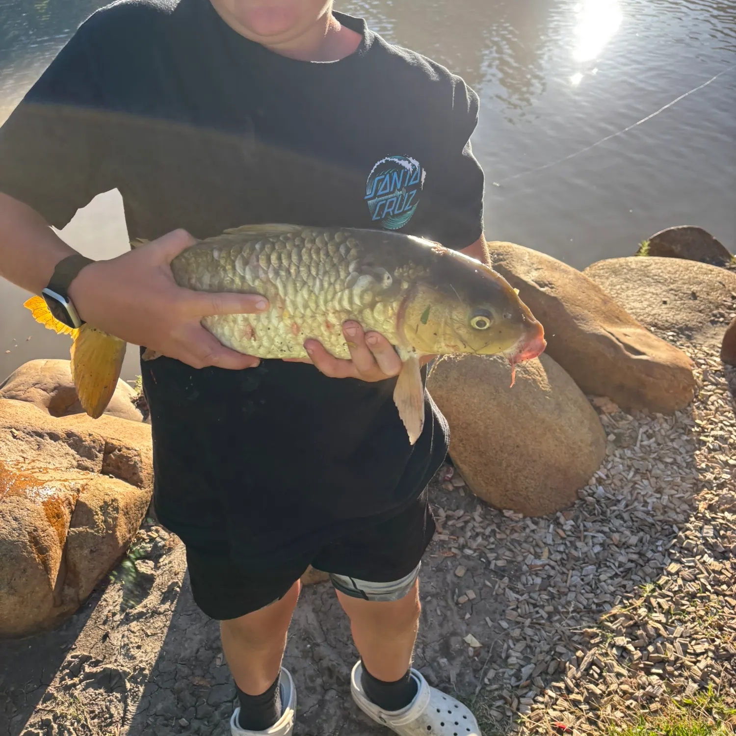 catch