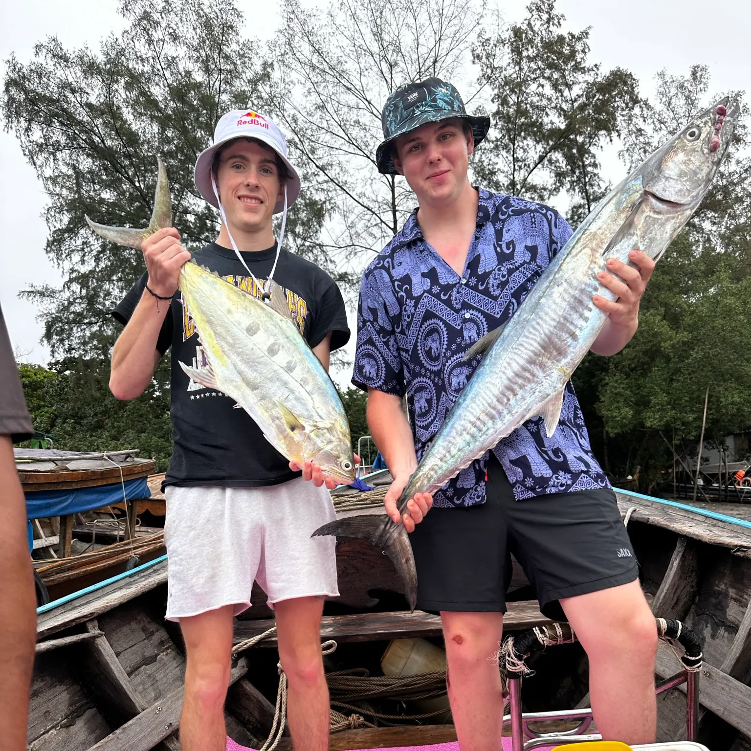 The most recent Narrow-barred Spanish mackerel catches on Fishbrain