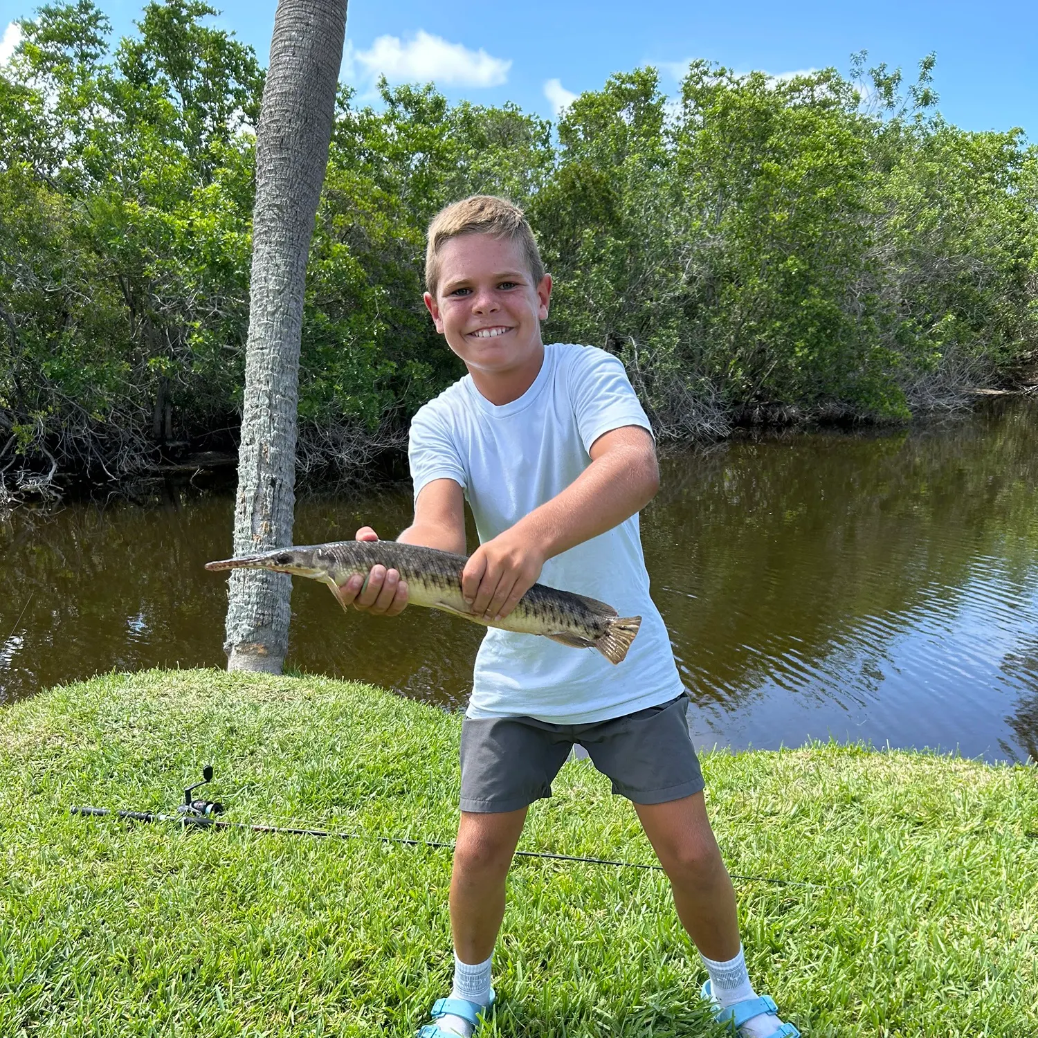 The most recent Spotted gar catches on Fishbrain