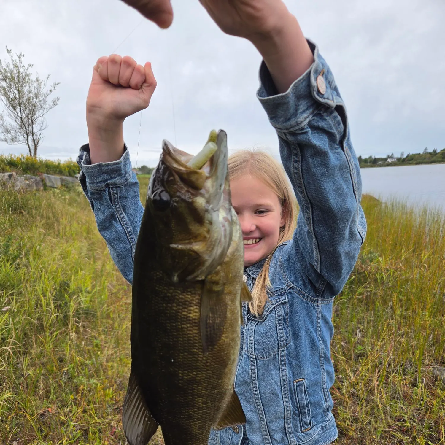 Smallmouth bass caught on Fishbrain