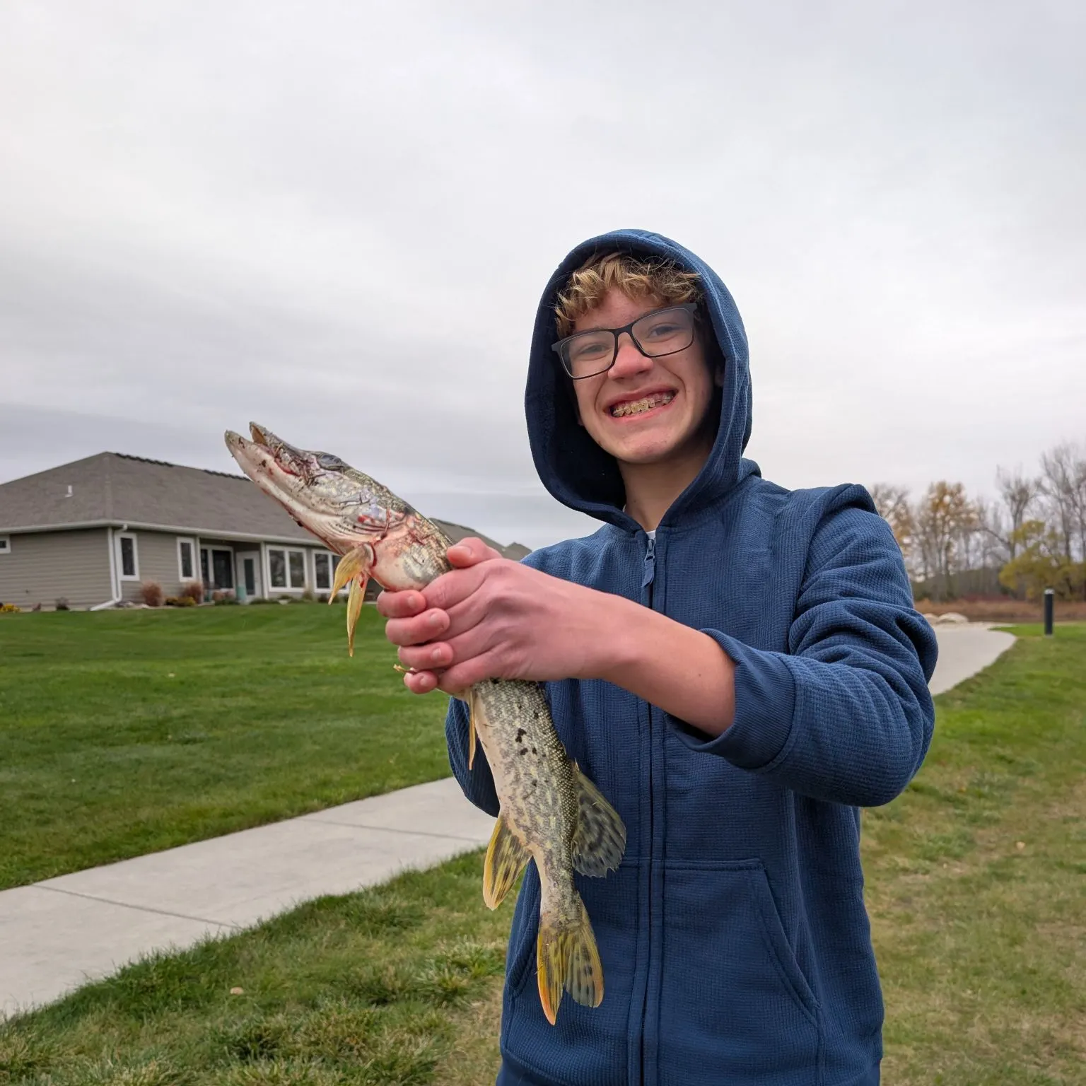 Northern pike caught on Fishbrain
