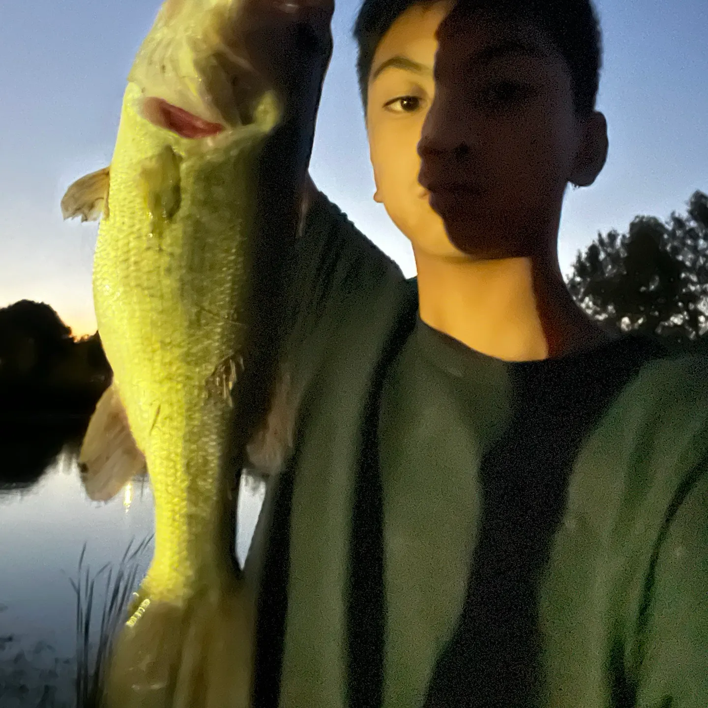 Largemouth bass caught on Fishbrain