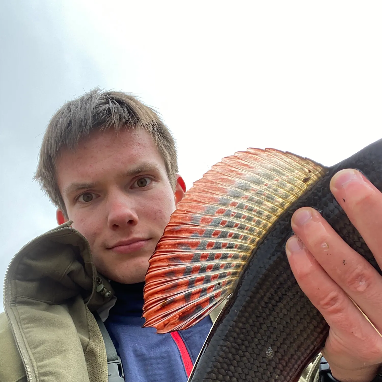 The most recent European grayling catches on Fishbrain