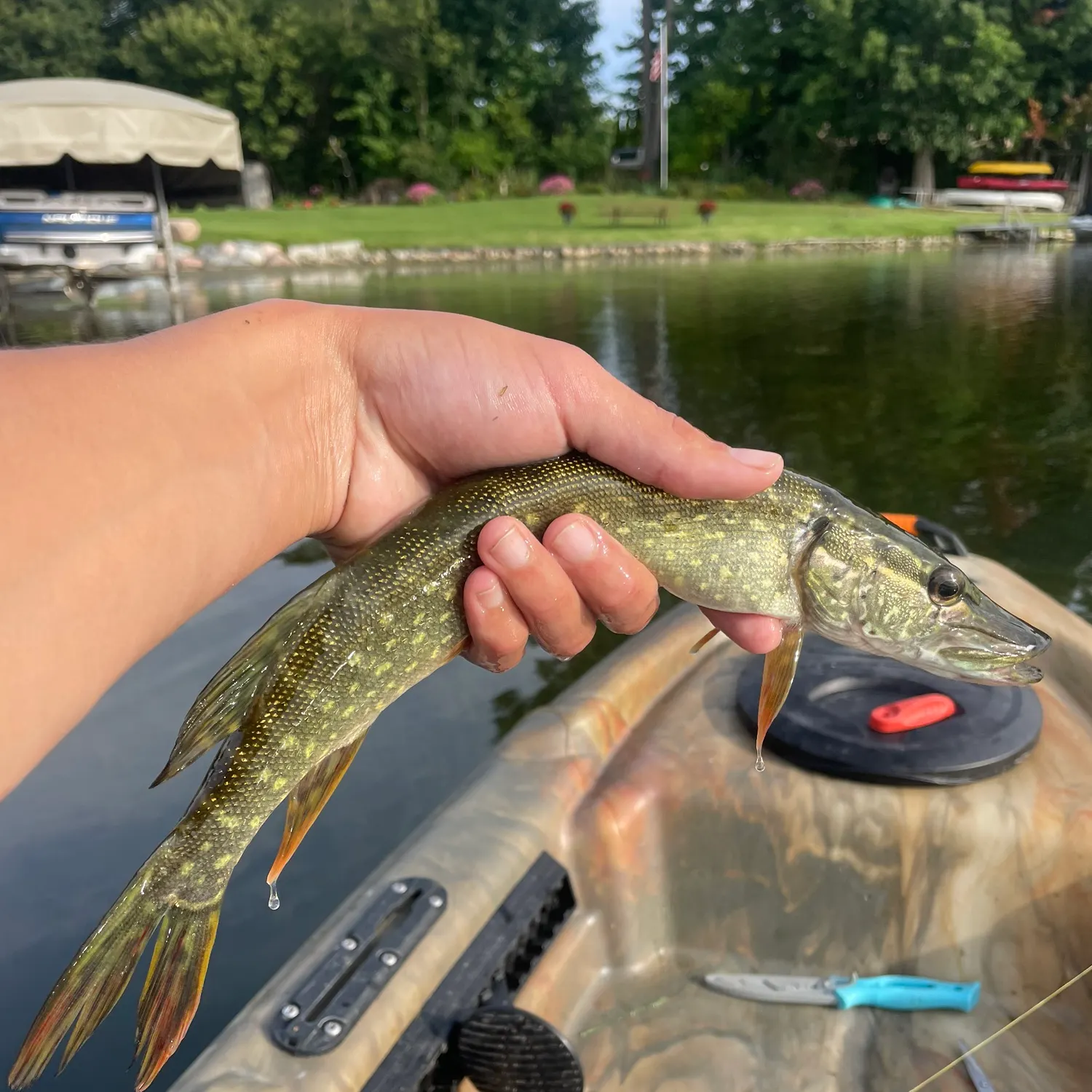 catch