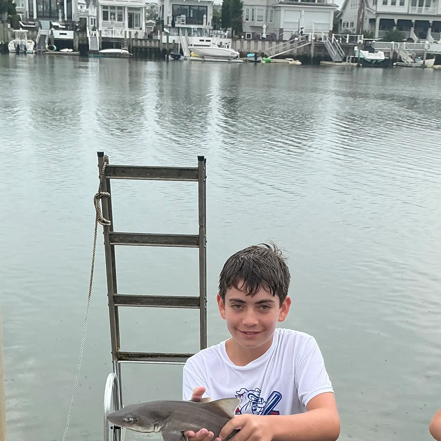Dusky smooth-hound caught on Fishbrain