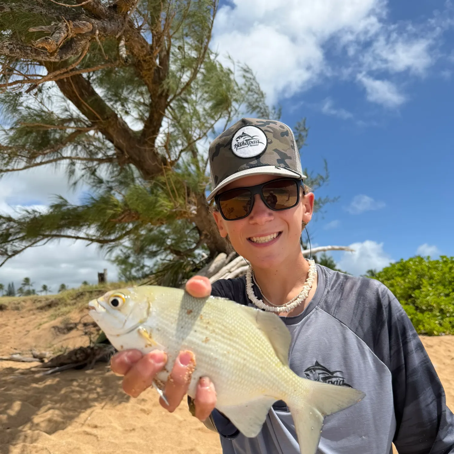 The most recent Grey sea chub catches on Fishbrain