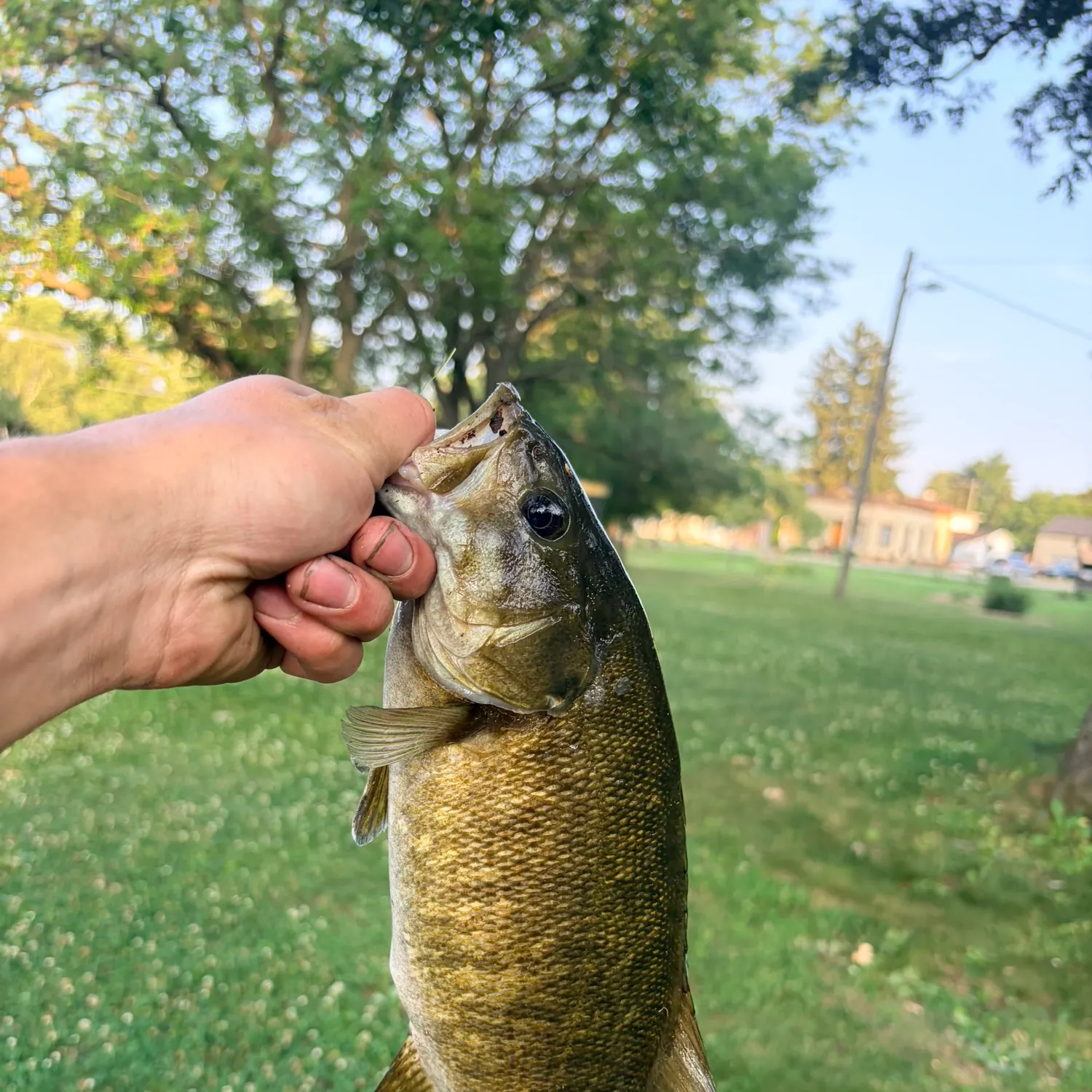 catch