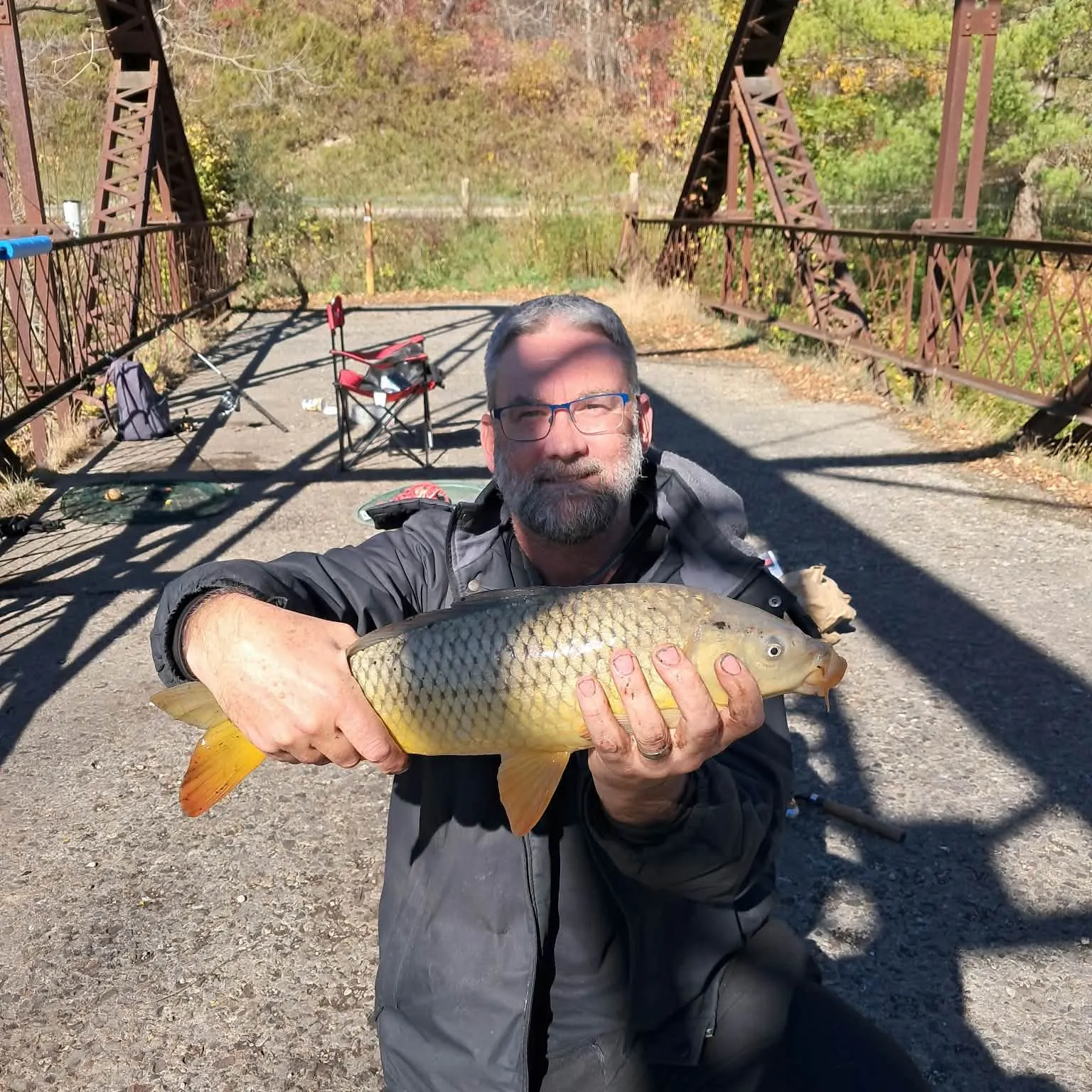 Common carp caught on Fishbrain