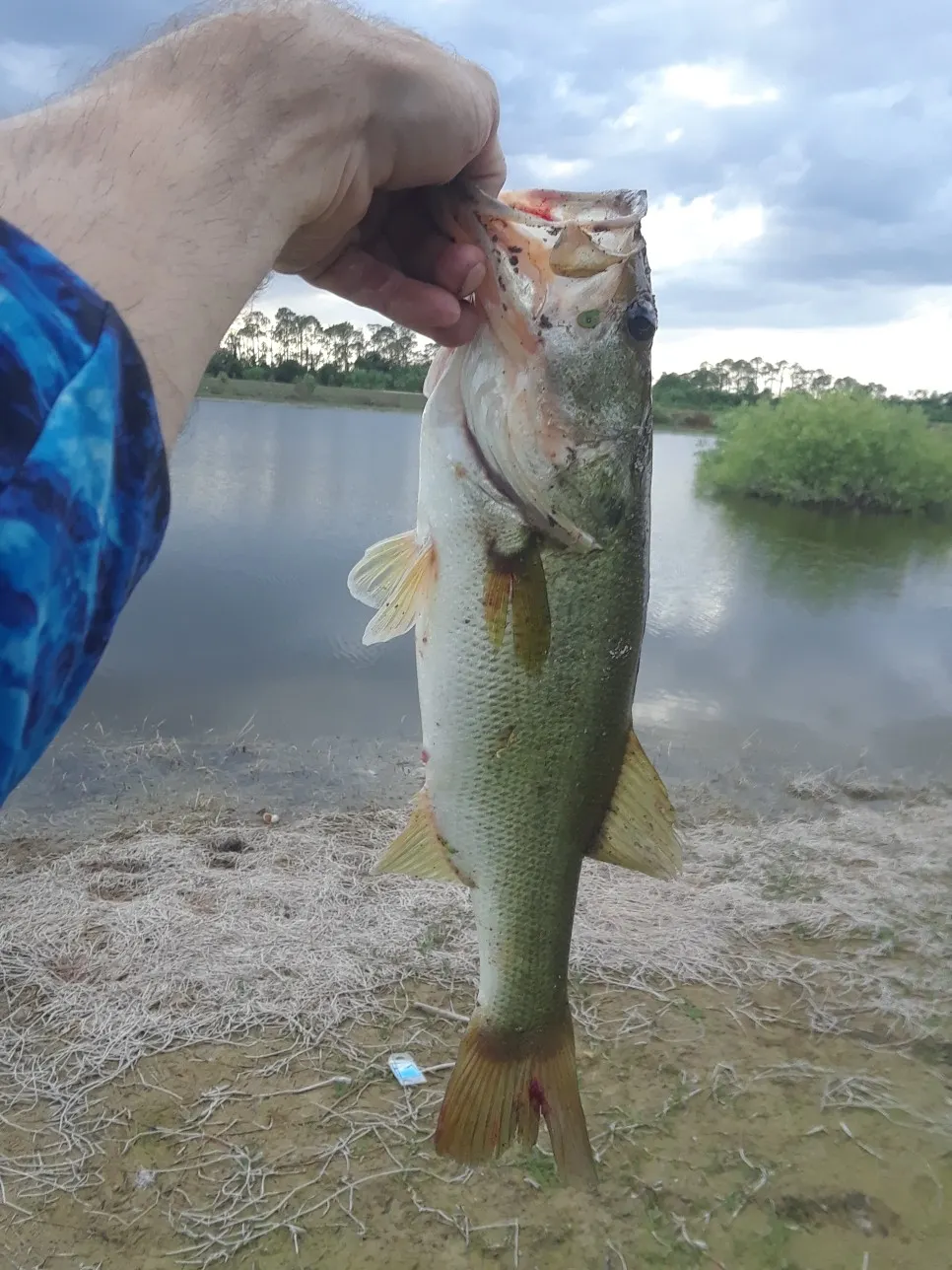 Post image from jacob.middleton