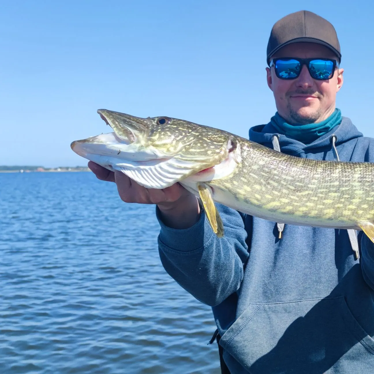 Northern pike caught on Fishbrain