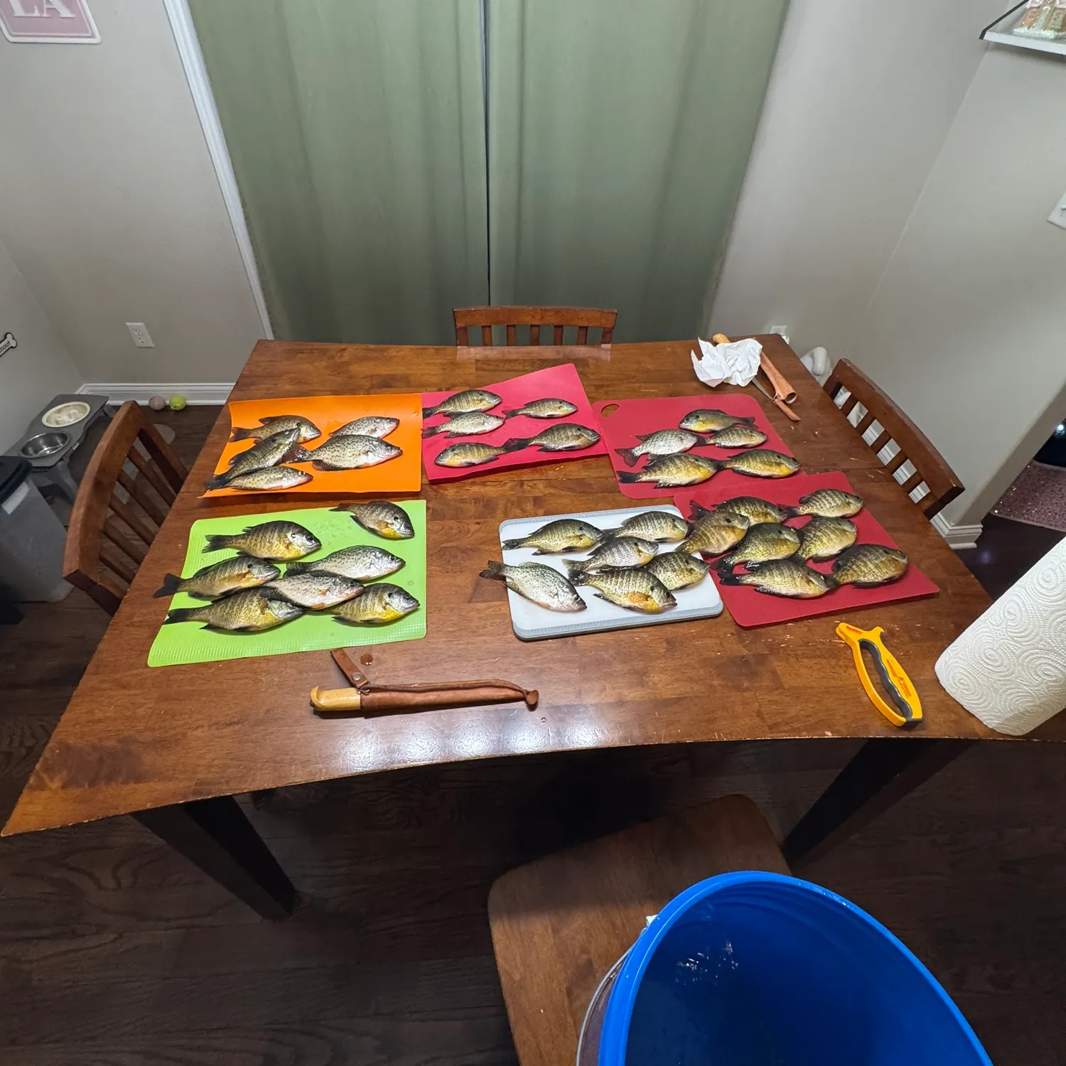 recently logged catches