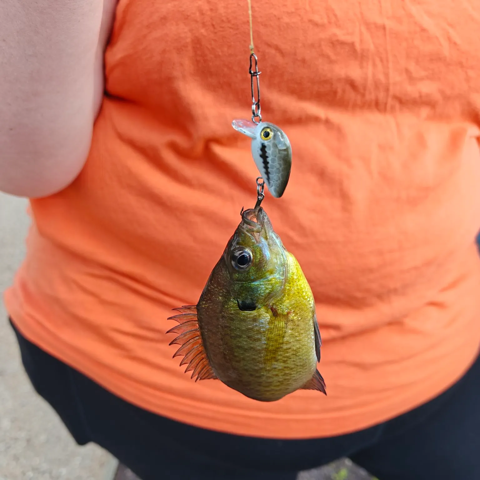 angler catch