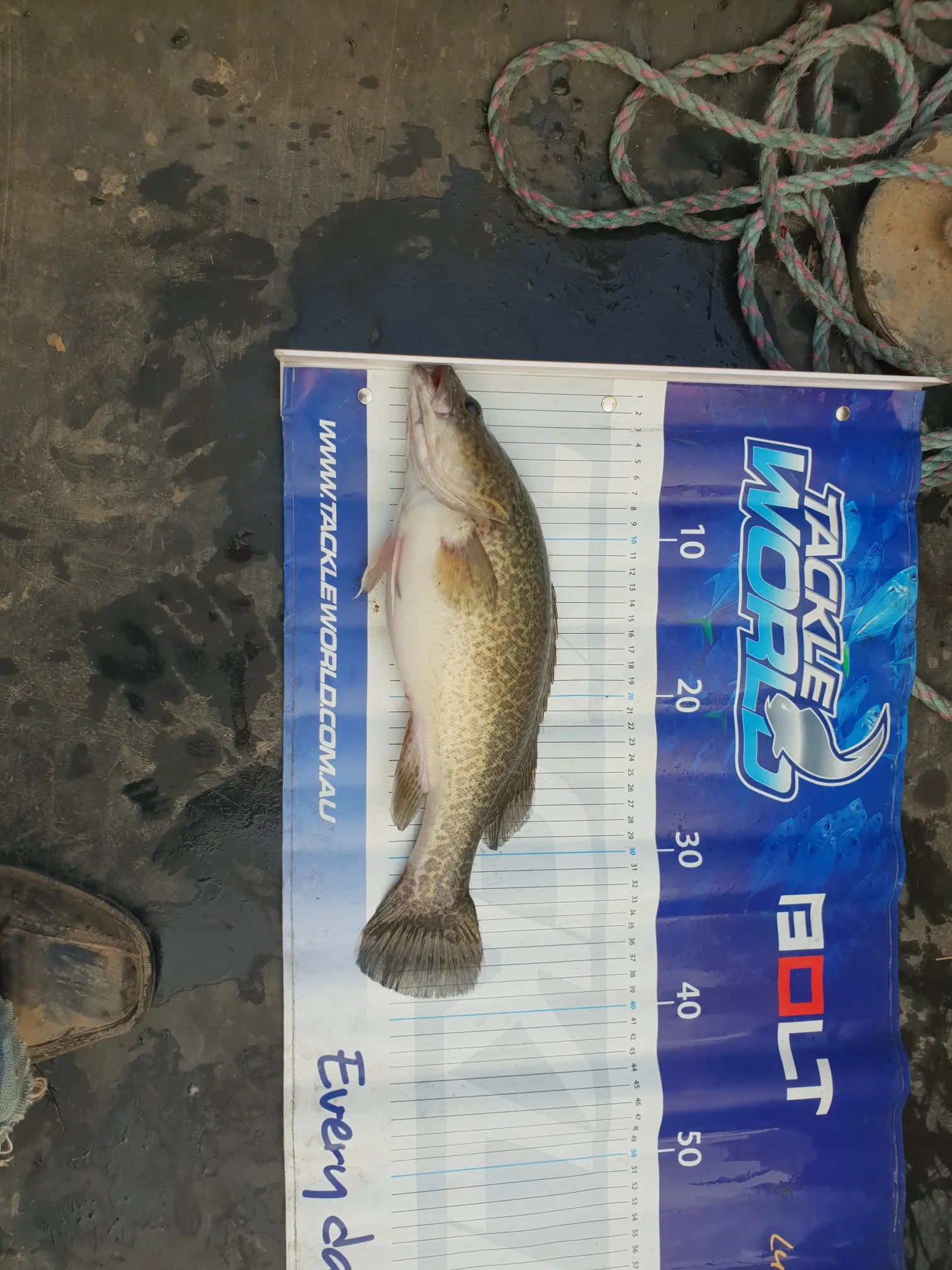 Post image from taylor-stephen