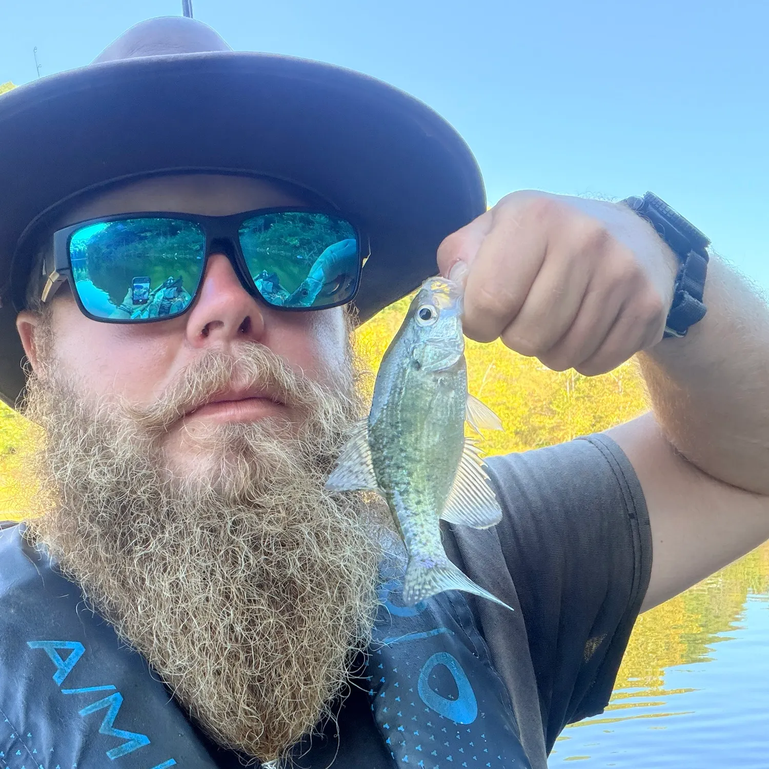 White crappie caught on Fishbrain