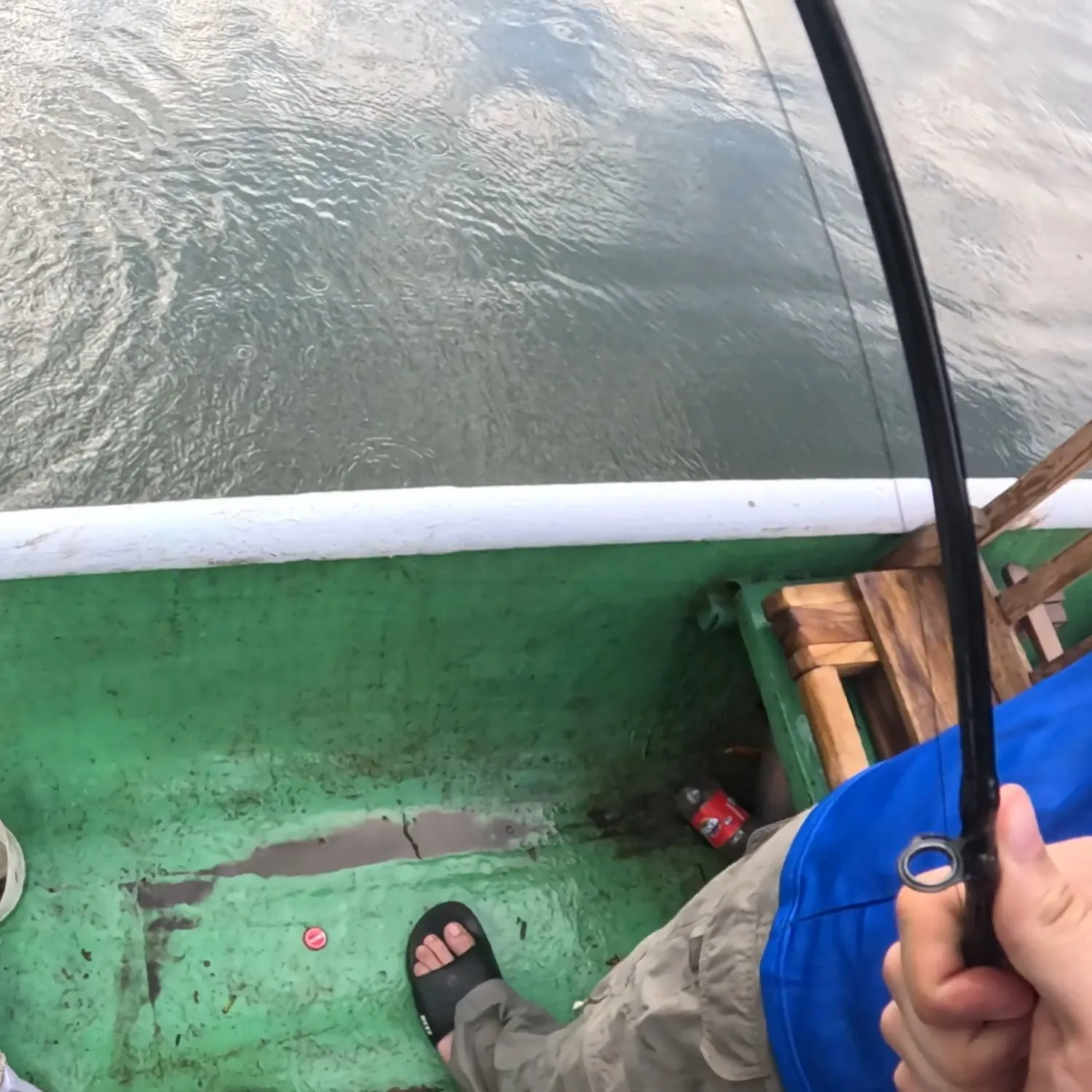 Mangrove snapper caught on Fishbrain