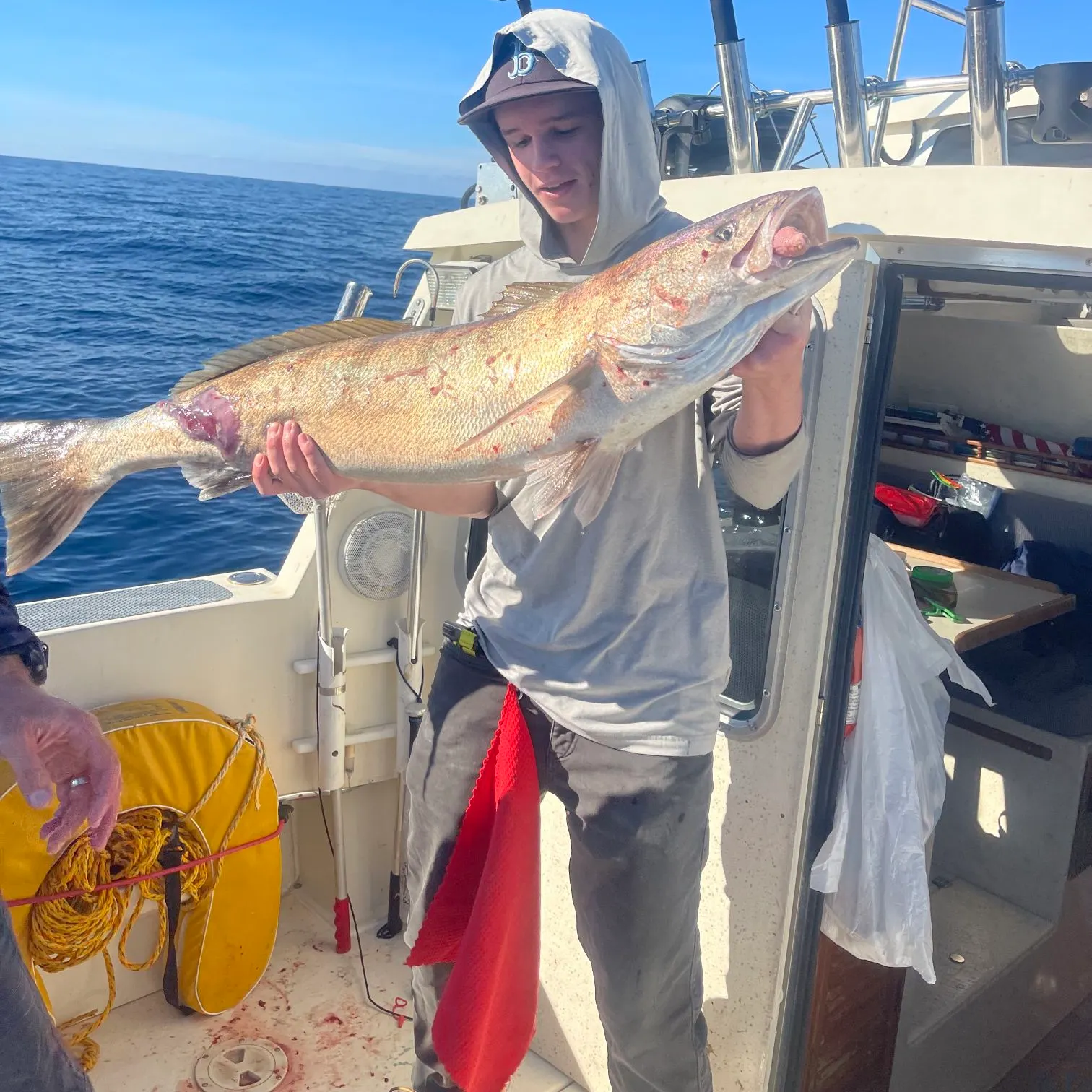 White seabass caught on Fishbrain