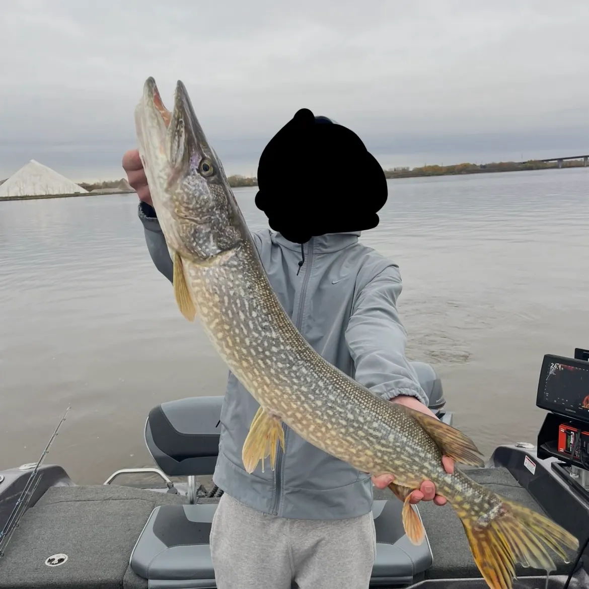 Northern pike caught on Fishbrain