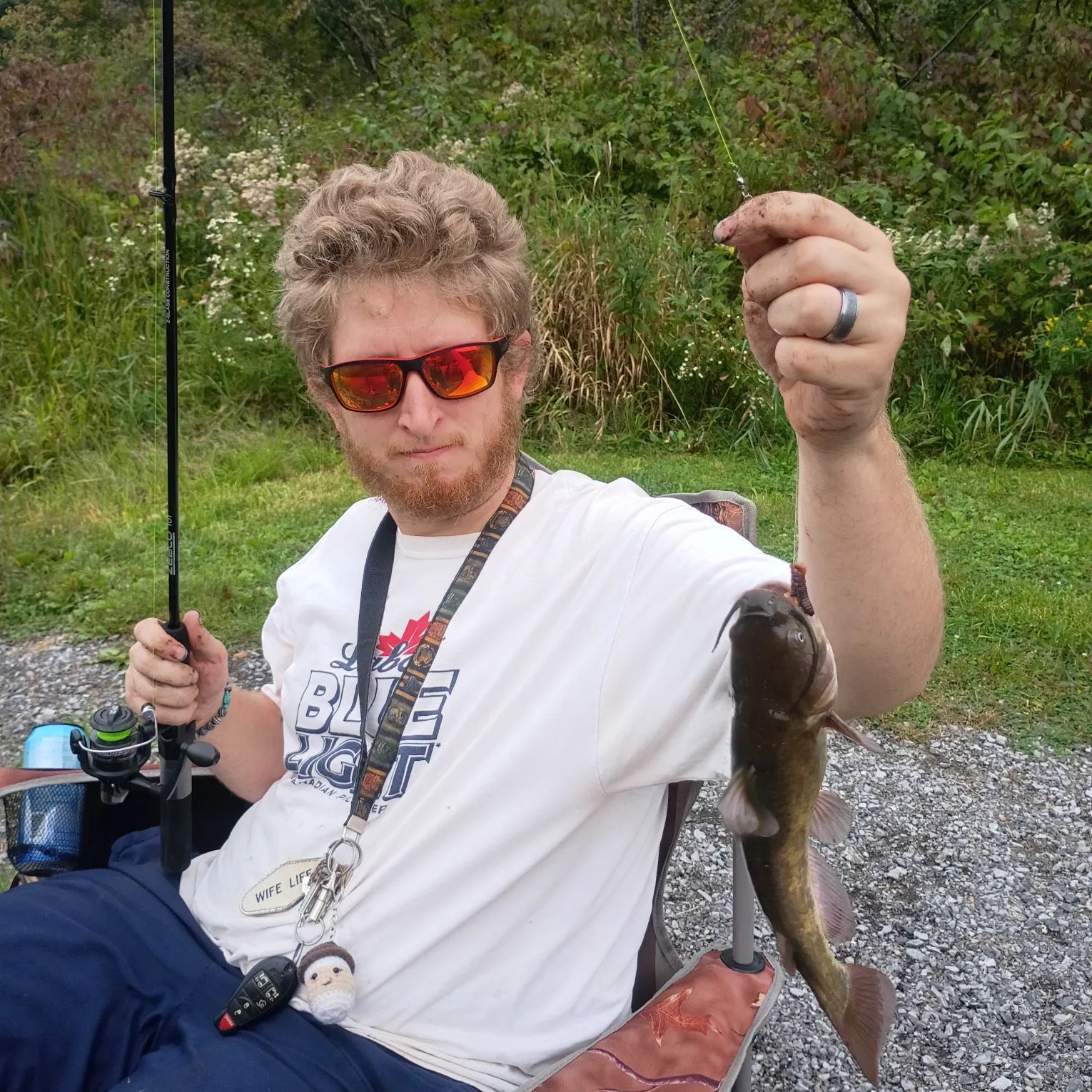 Yellow bullhead caught on Fishbrain