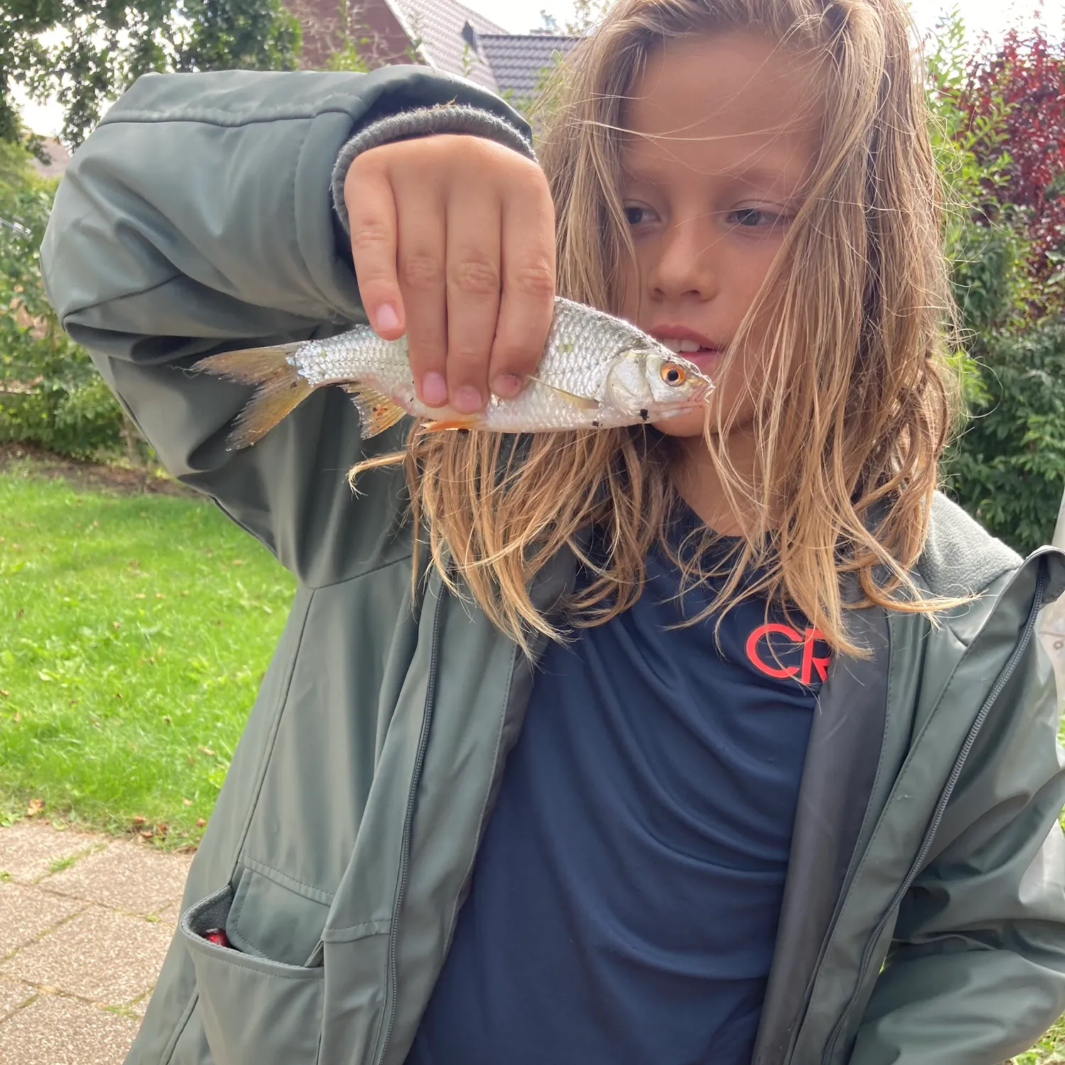 Common roach caught on Fishbrain