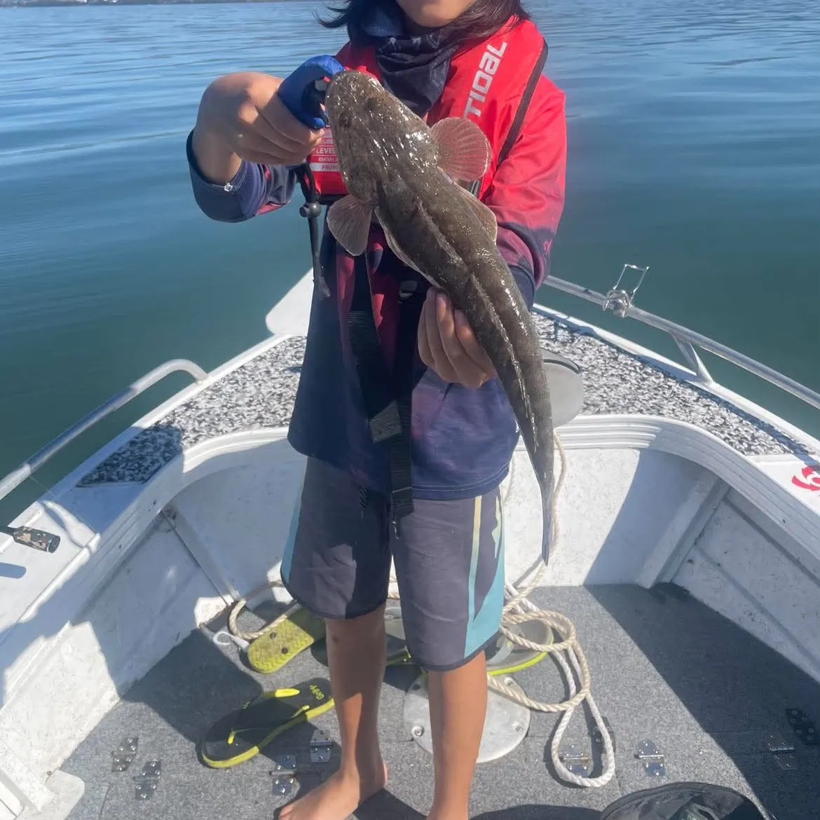 Dusky flathead caught on Fishbrain