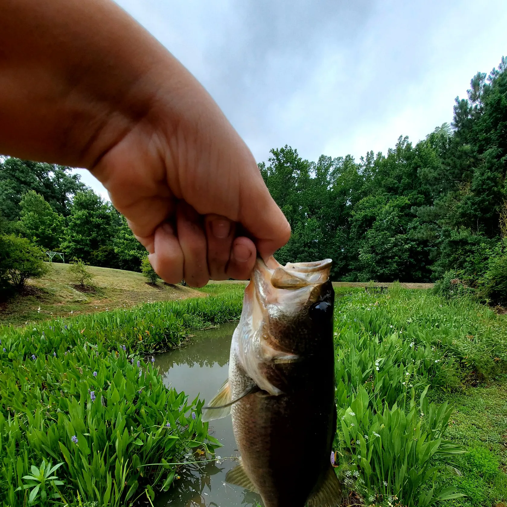 catch