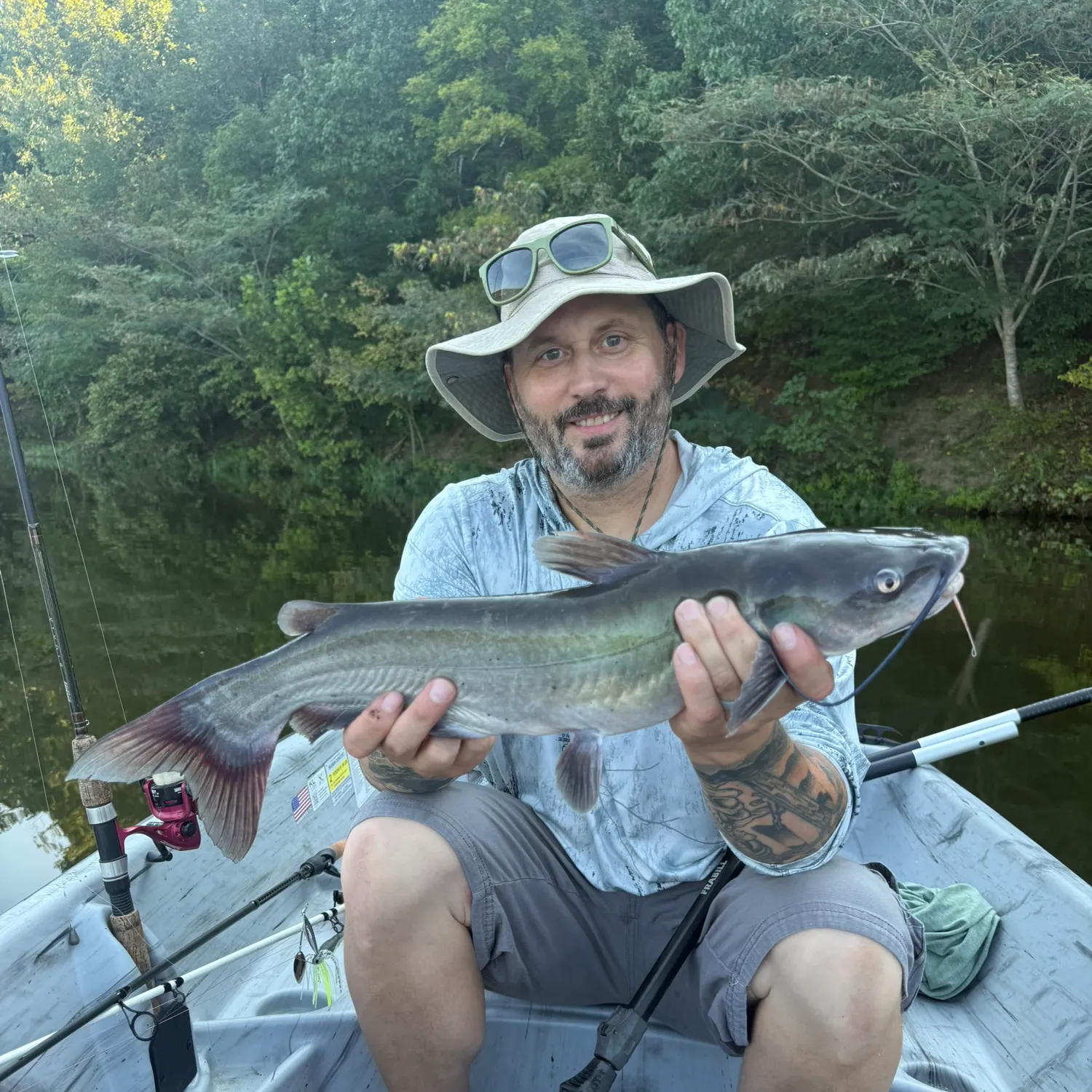 Channel catfish caught on Fishbrain