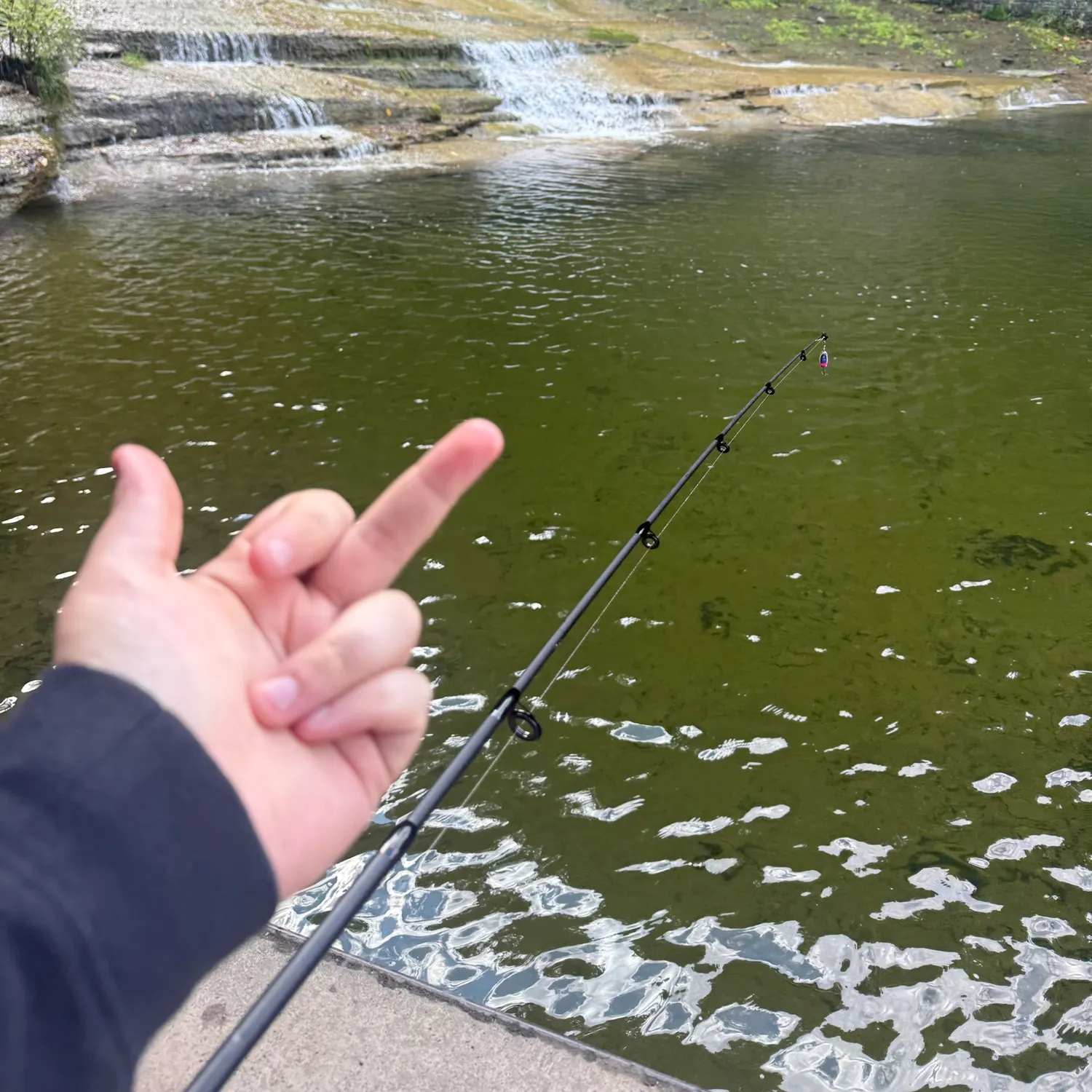 Rainbow trout caught on Fishbrain