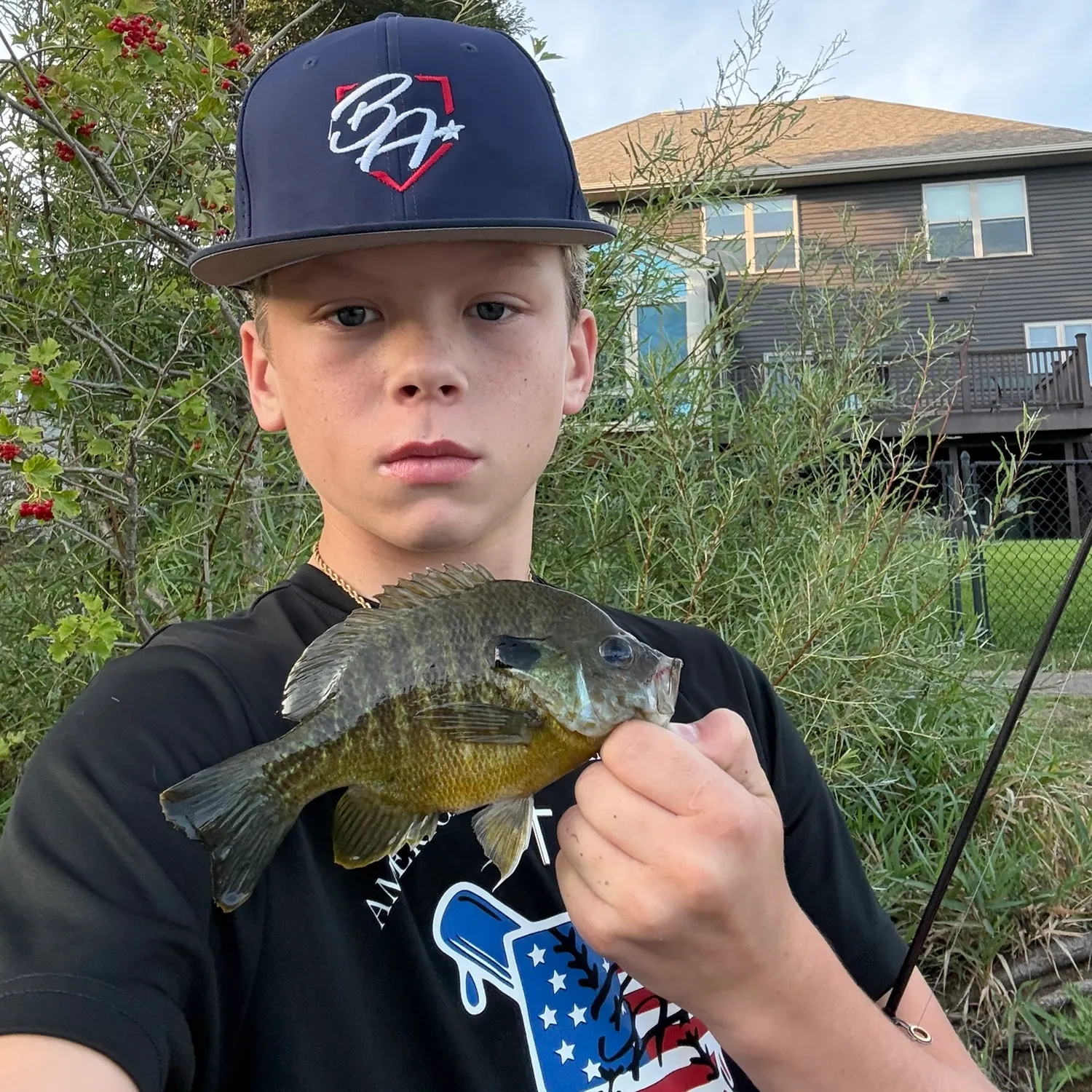 Bluegill caught on Fishbrain