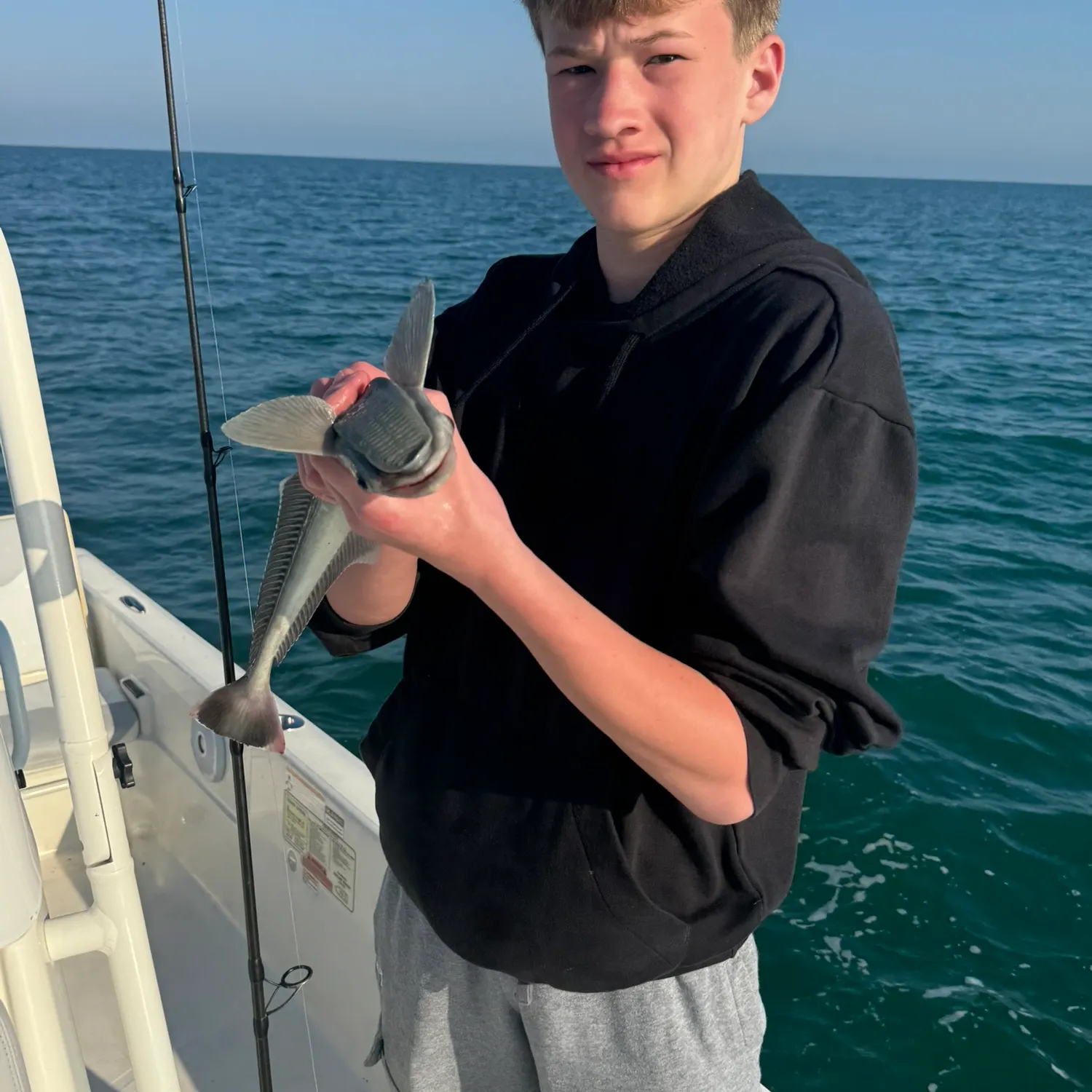 The most recent Common remora catches on Fishbrain