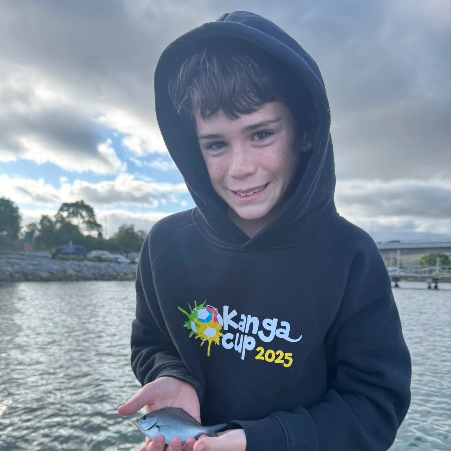 The most recent Silver sweep catches on Fishbrain