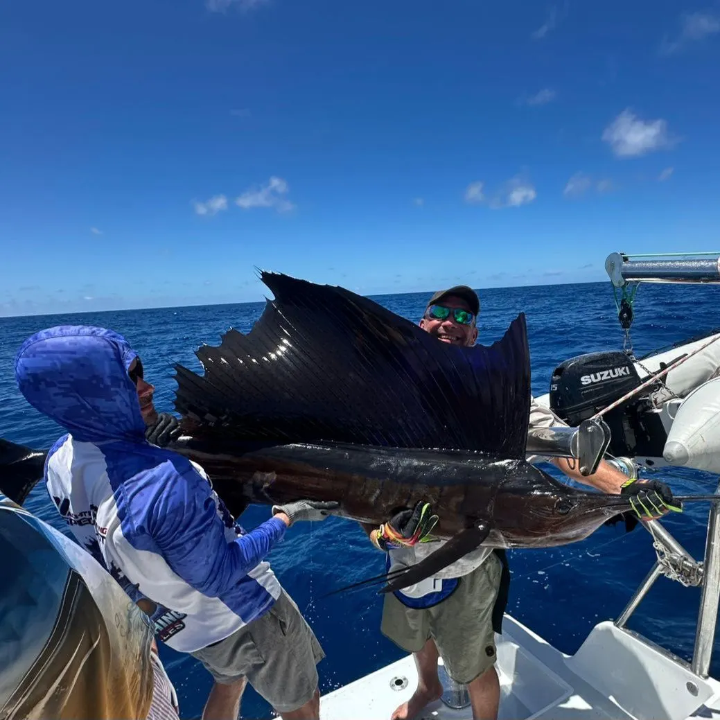 The most recent Indo-Pacific sailfish catches on Fishbrain