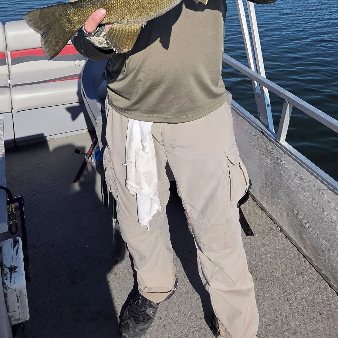 Smallmouth bass caught on Fishbrain